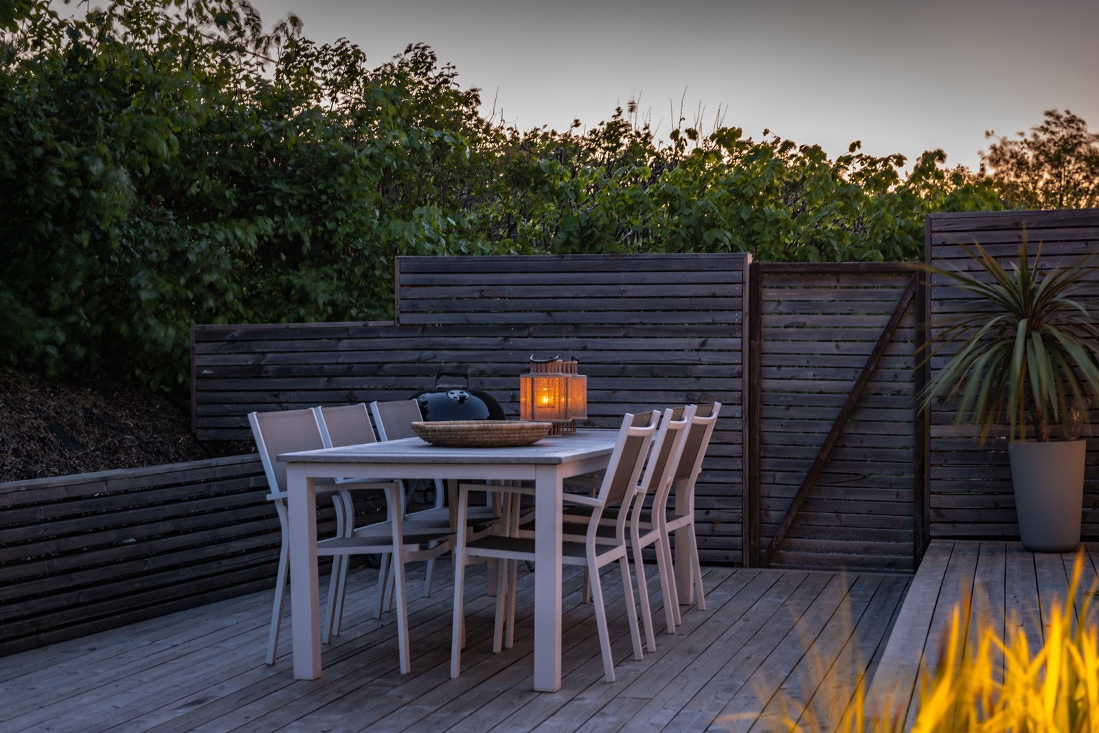 Kveldsstemning Galleribilde