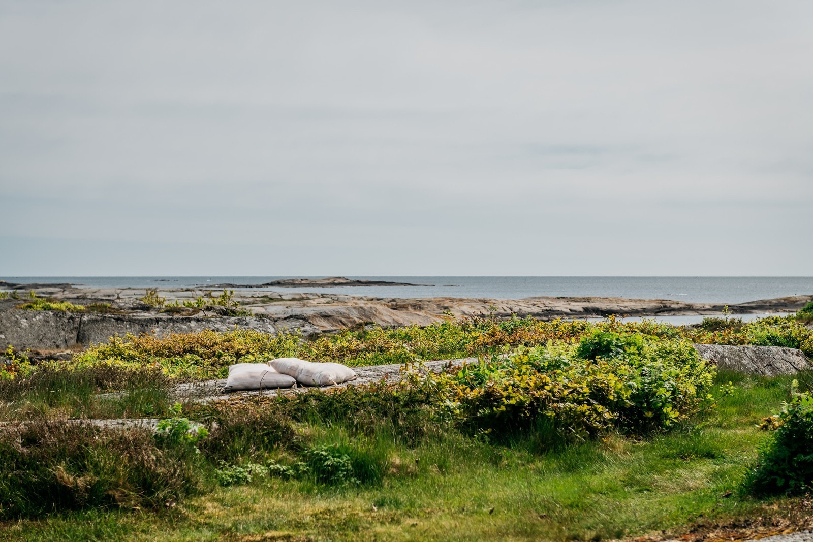 Vidstrakt utsikt Galleribilde