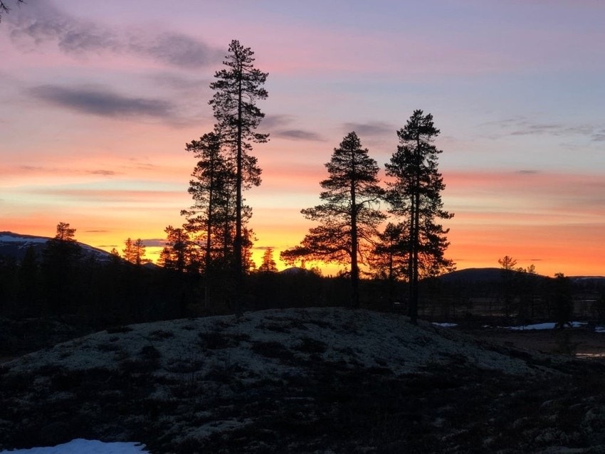 Blakersmoen 60 solnedgang Galleribilde