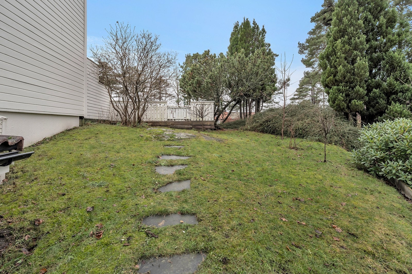 Hage med diverse beplantninger Galleribilde