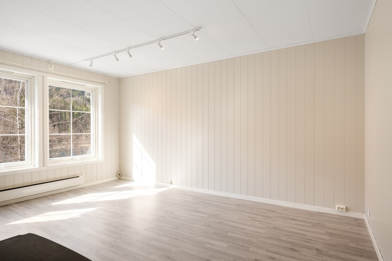 Vinduene slipper inn godt med dagslys. Galleribilde