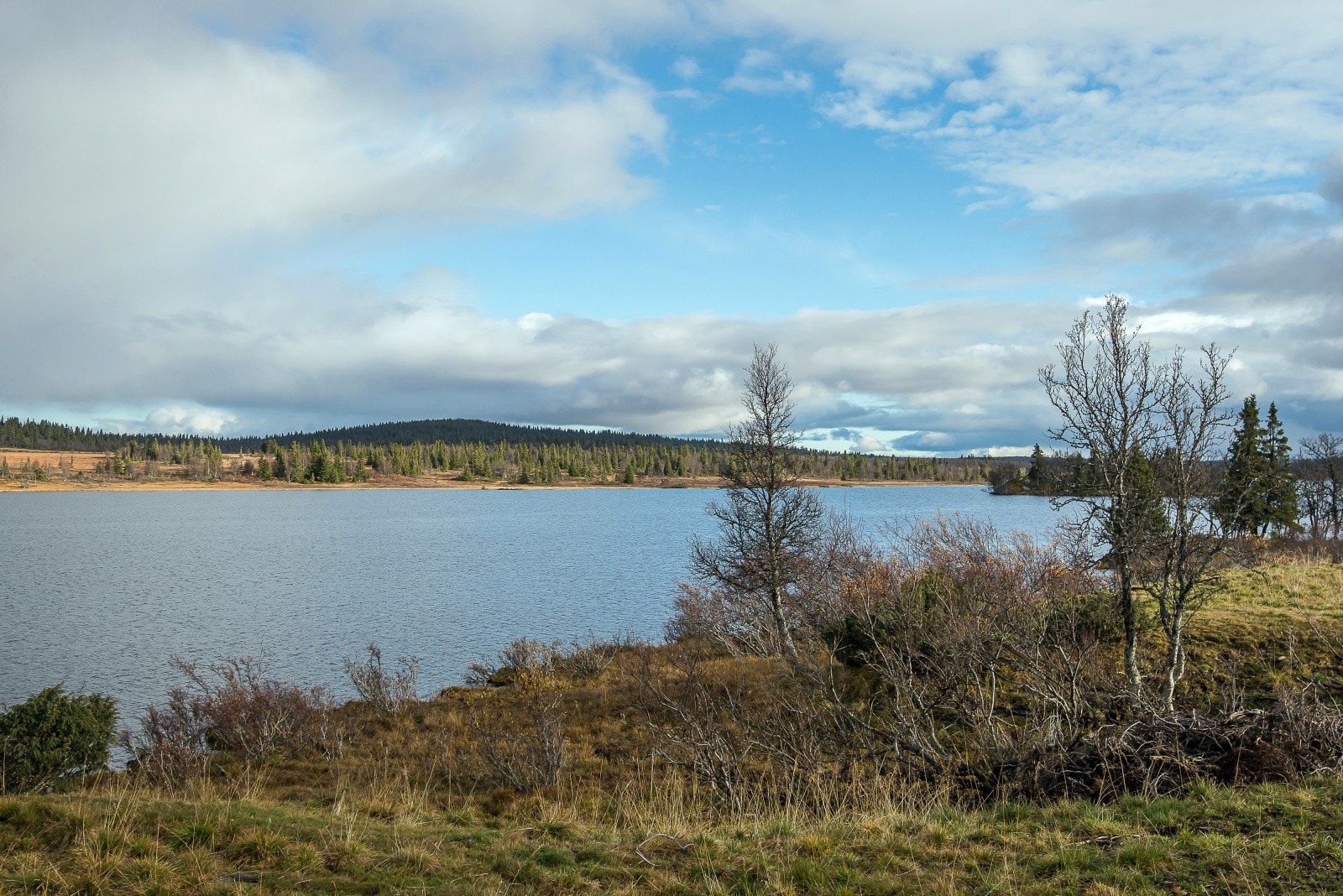 Det er gode fiskemuligheter både i Våsjøen, og i en rekke andre fiskevann i området. Galleribilde