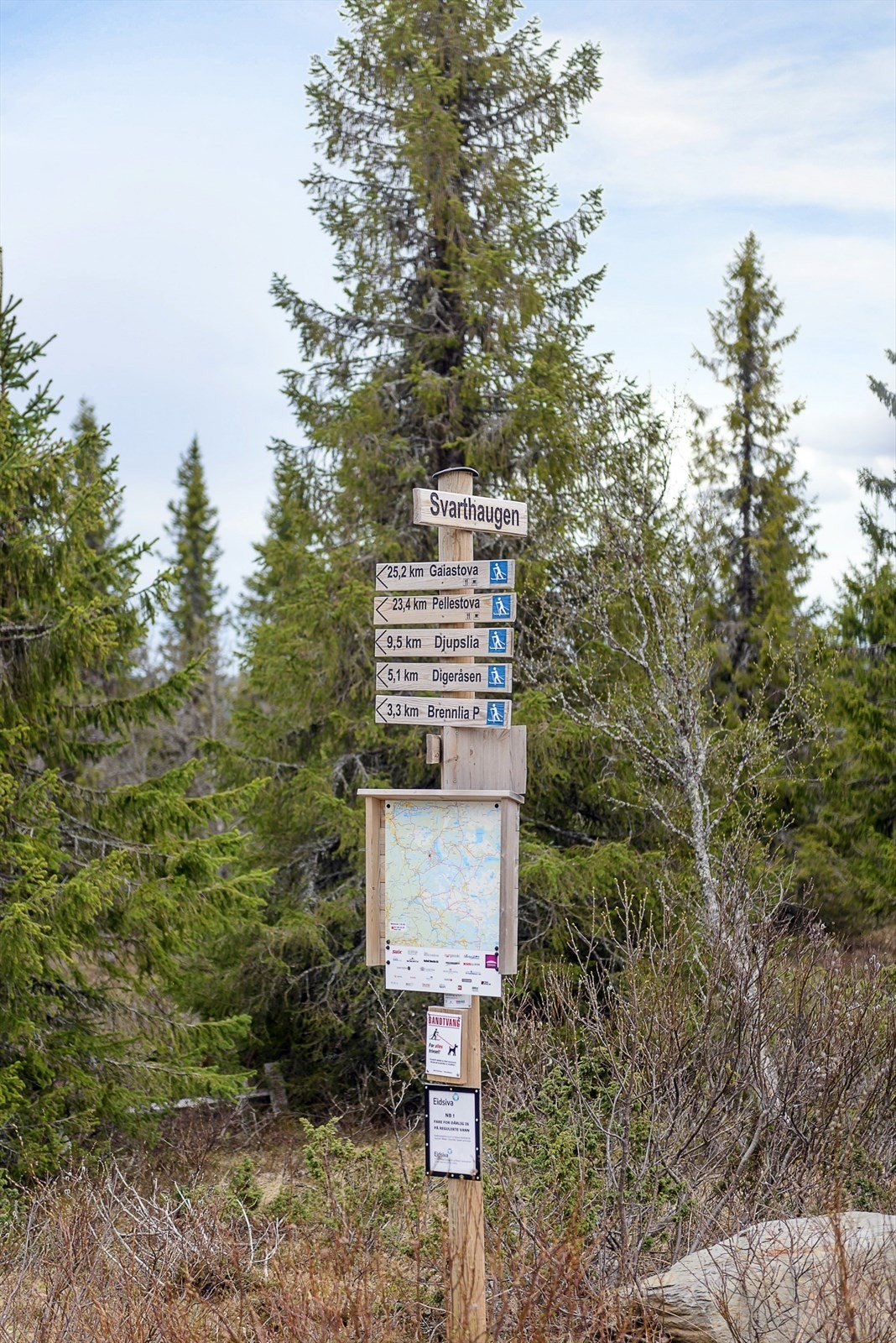 Våsjøen er et fantastisk naturområde, her går man turer hele året uten at man går i kø i skiløypa eller på turstien. Galleribilde