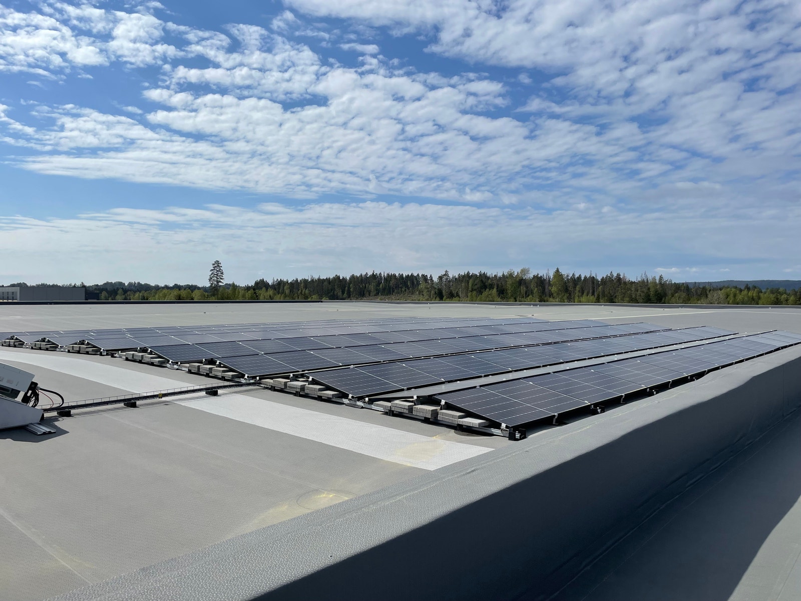 Bilder fra Bring sitt nye anlegg i parken Galleribilde