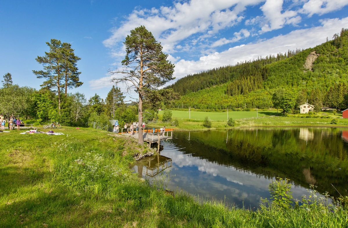 Nært bading i ferskvann på Nydammen Galleribilde