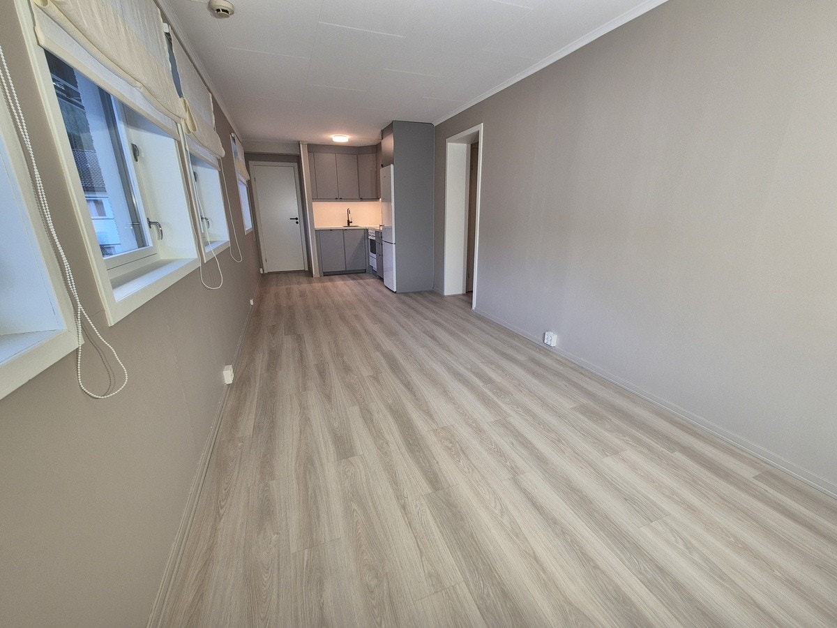 Stue/Kjøkken Galleribilde