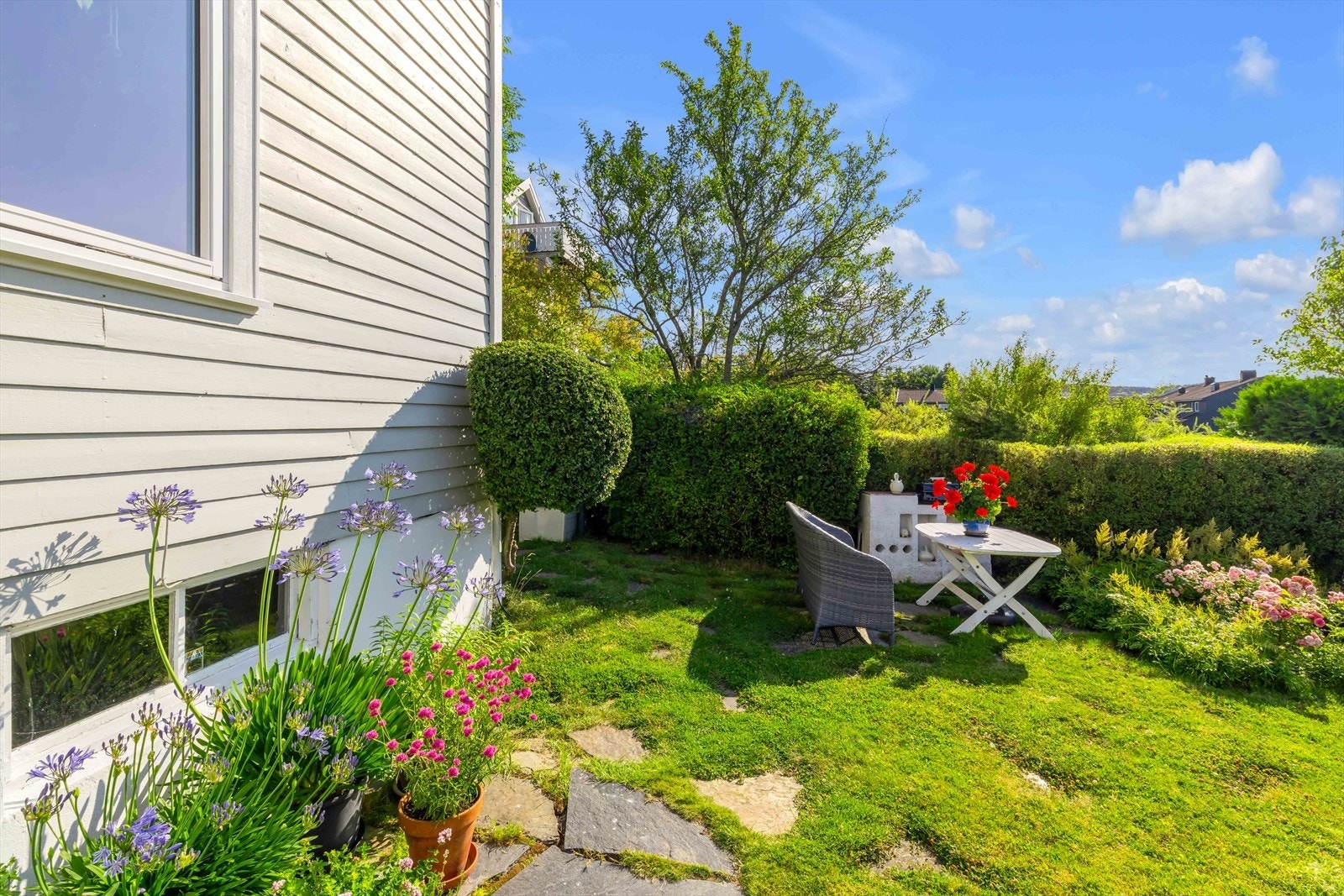 Det er en frodig hage med mye sol Galleribilde