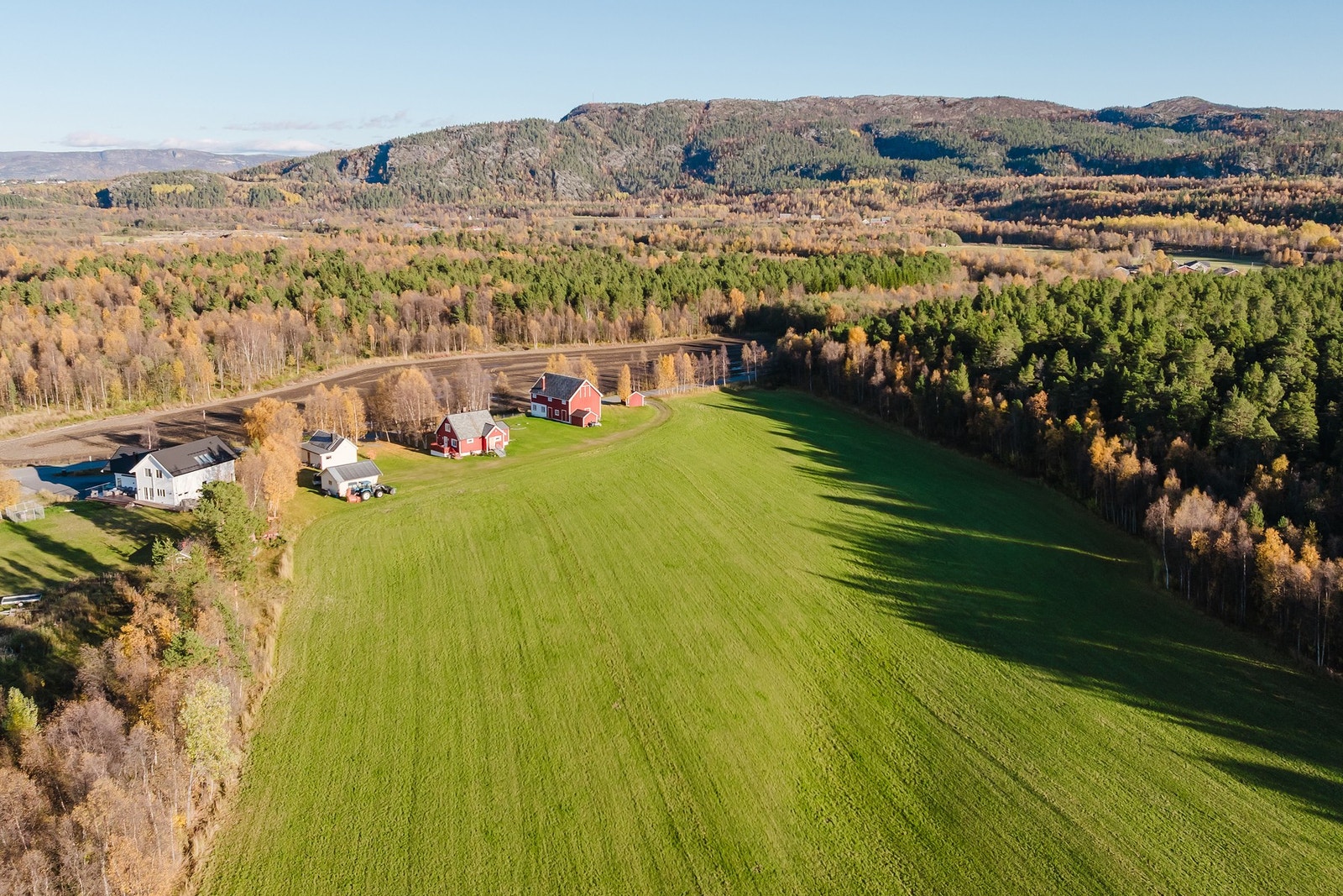 Og 32,9 mål med produktiv skog. Galleribilde