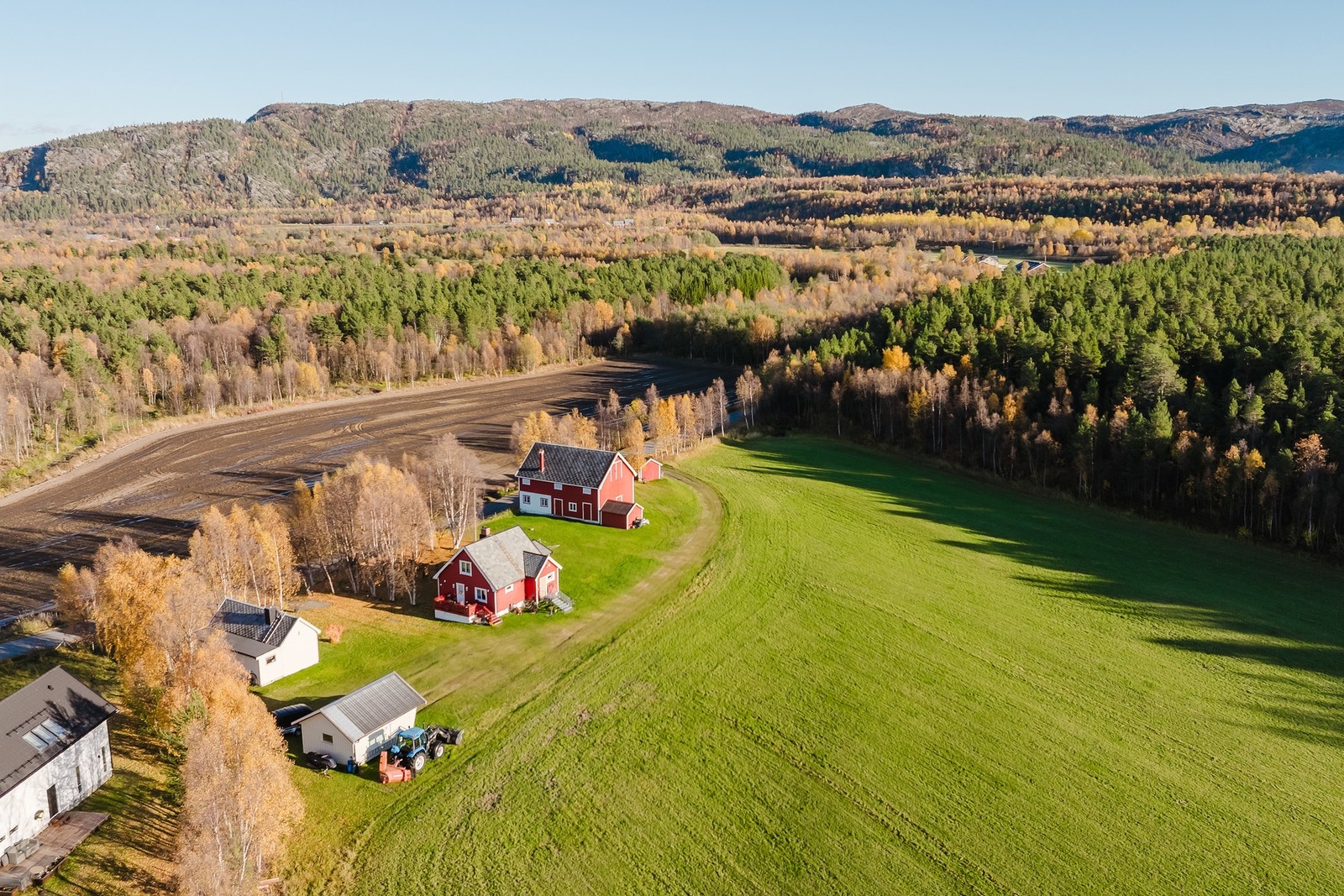 Velkommen på visning! Galleribilde