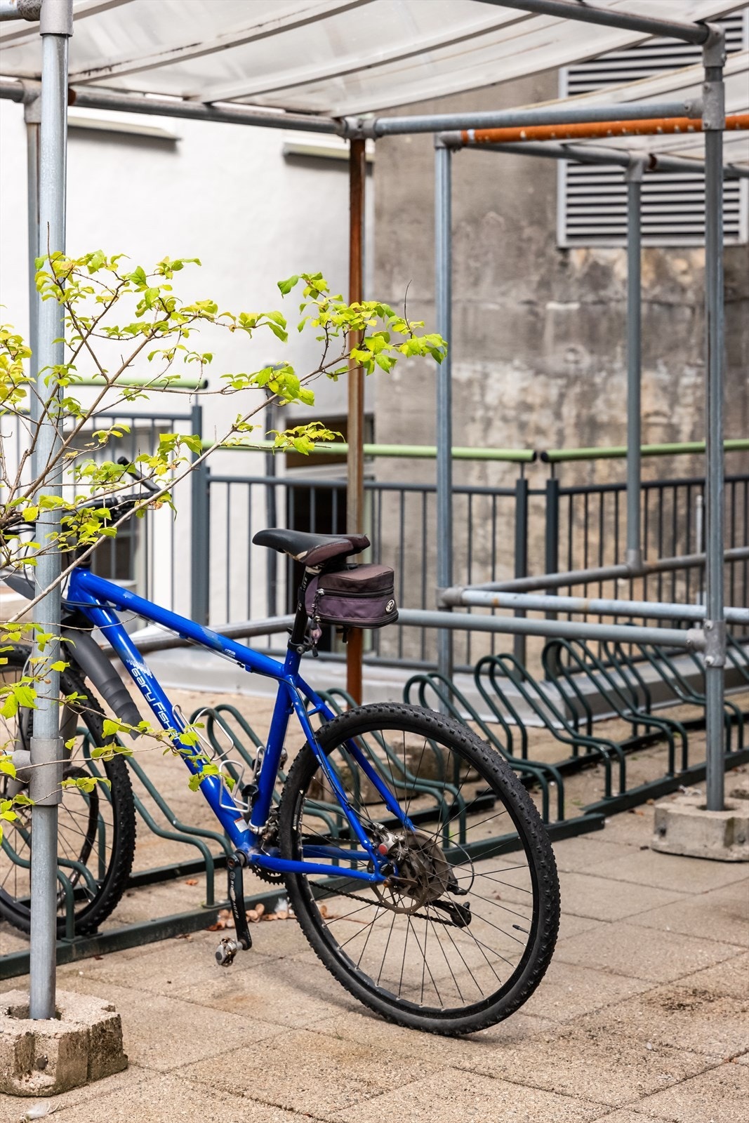 Her er sykkelparkering. Galleribilde