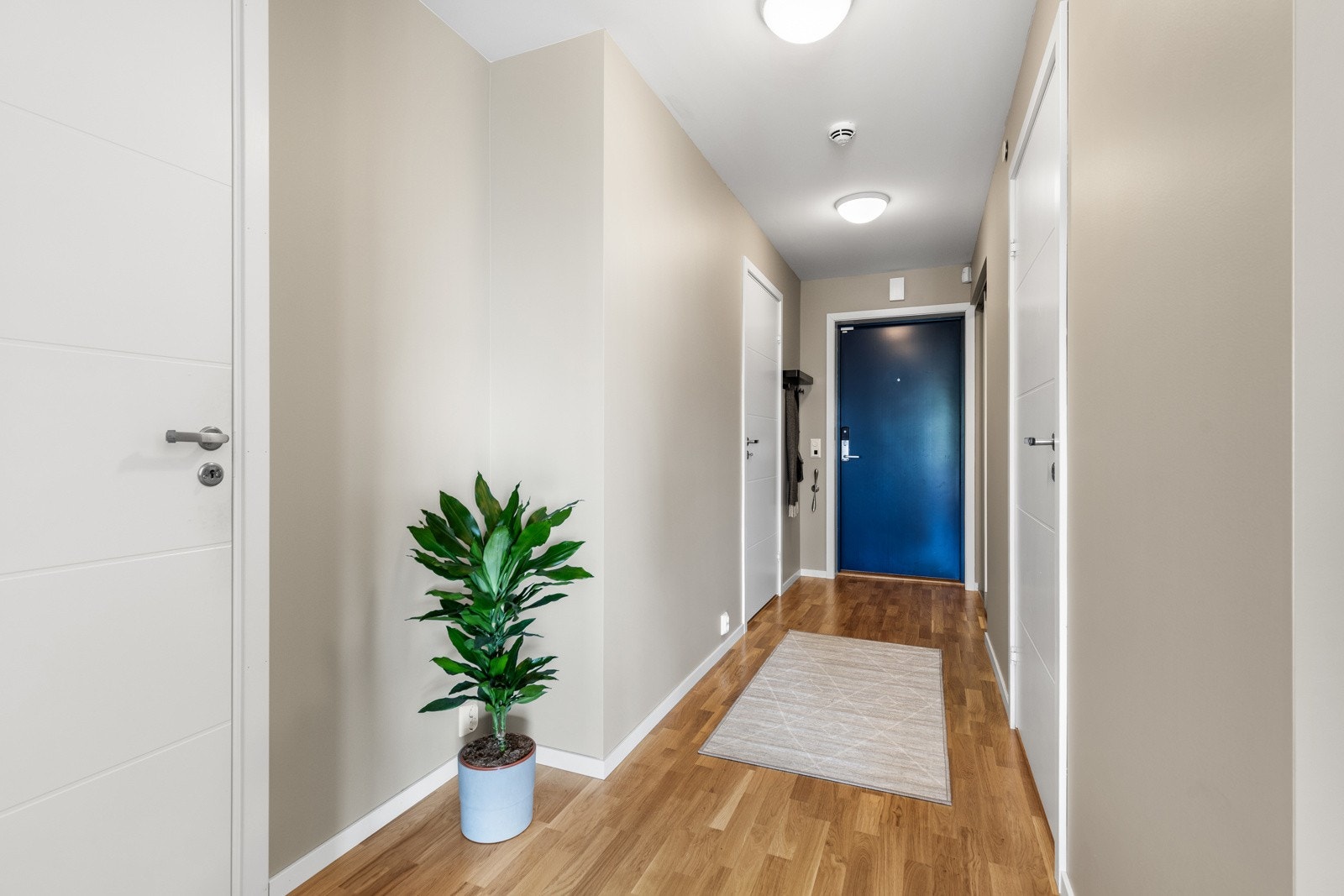 En romslig gang med tidløse farger og pene detaljer. Her starter boligens gjennomgående moderne stil. Galleribilde