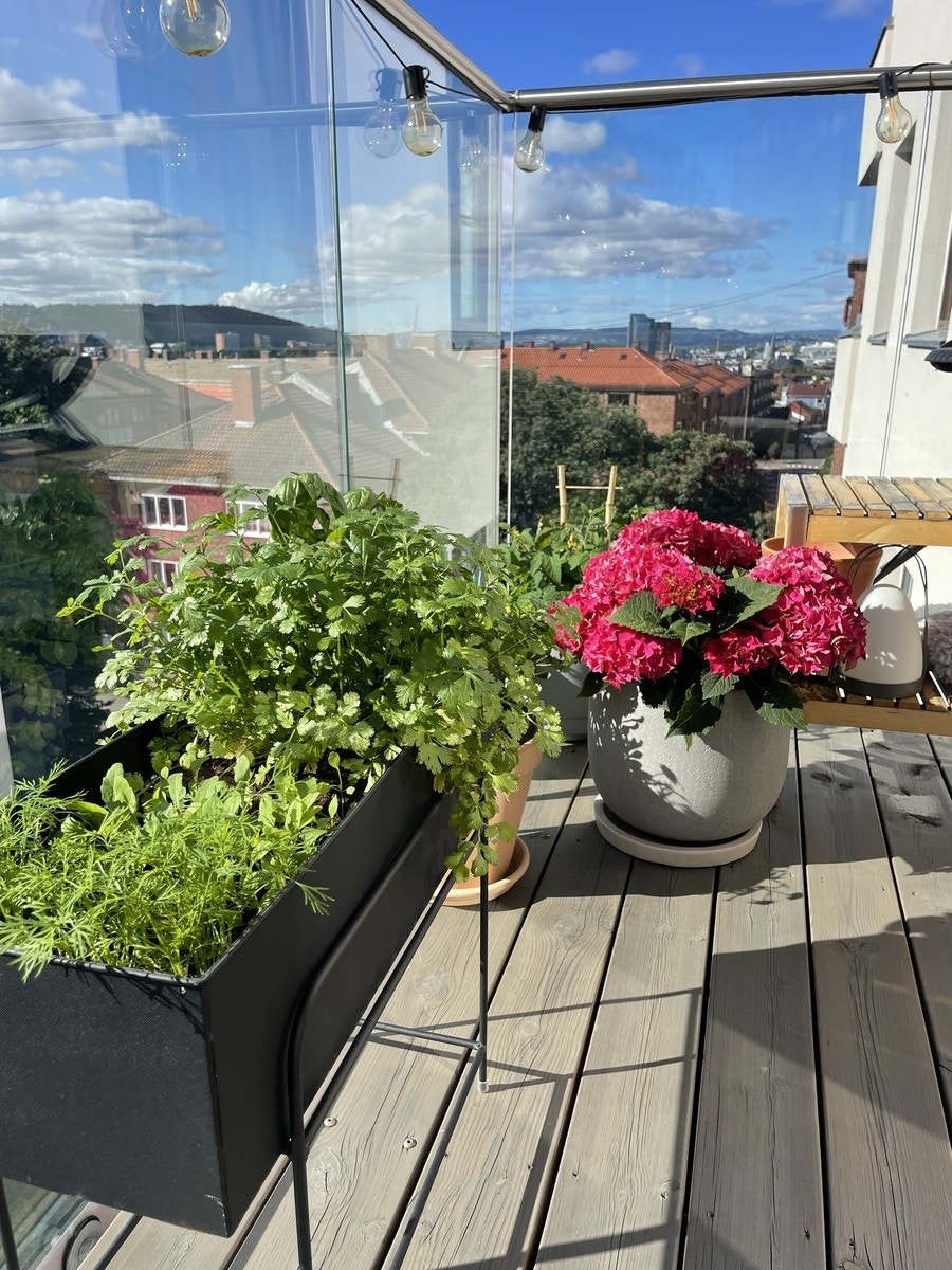 Balkong Galleribilde