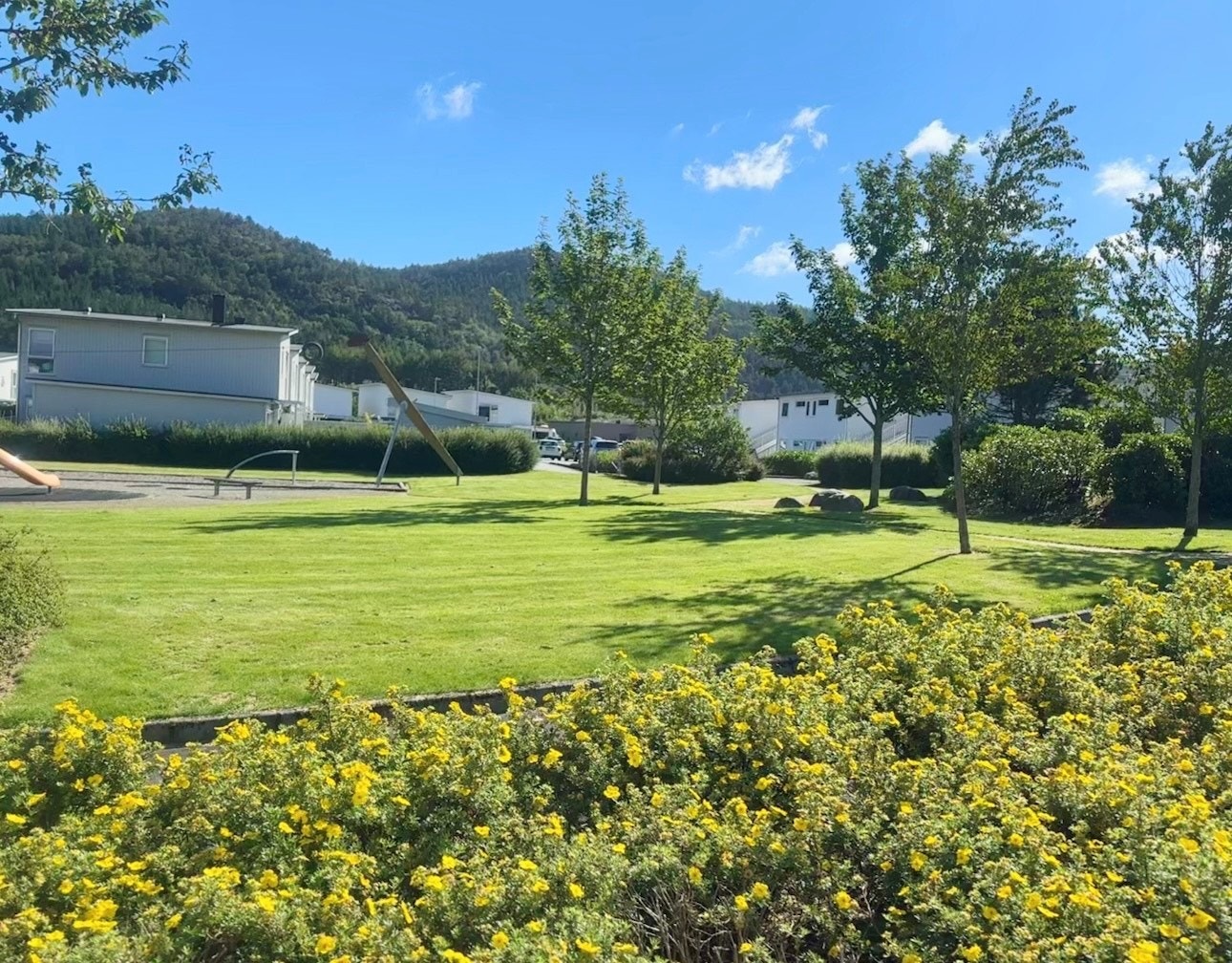 Fine fellesområder Galleribilde