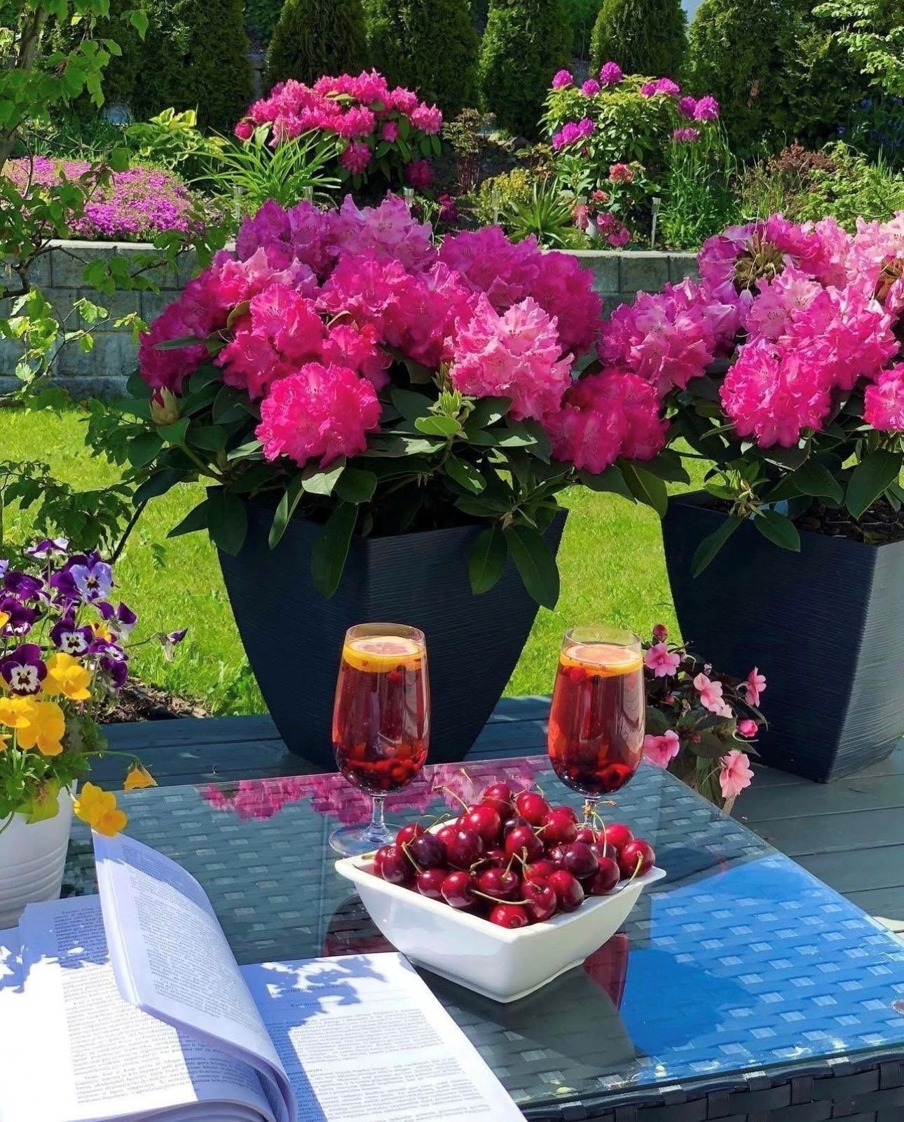 Flotte uteområder Galleribilde