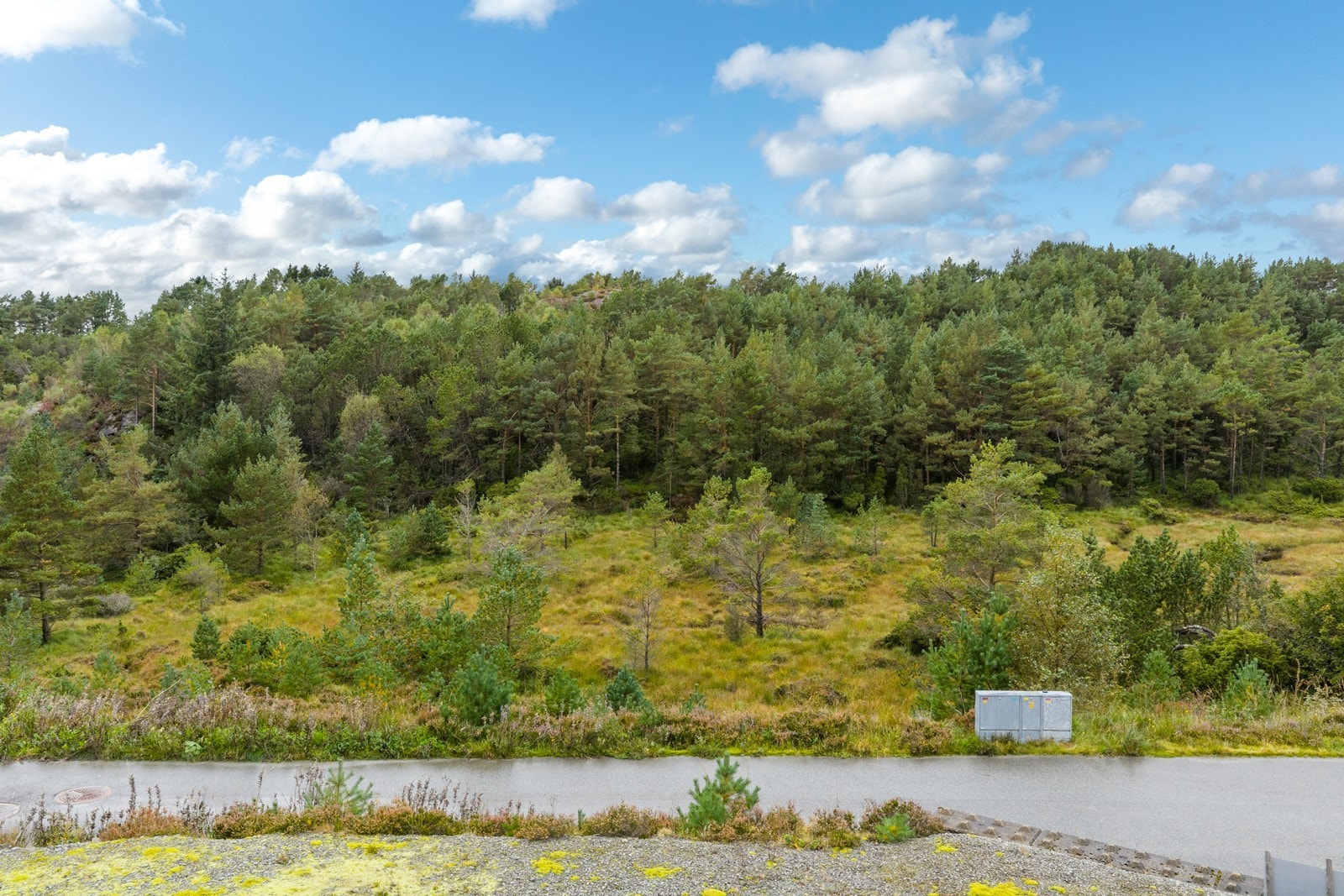 Flotte naturskjønne omgivelser. Galleribilde