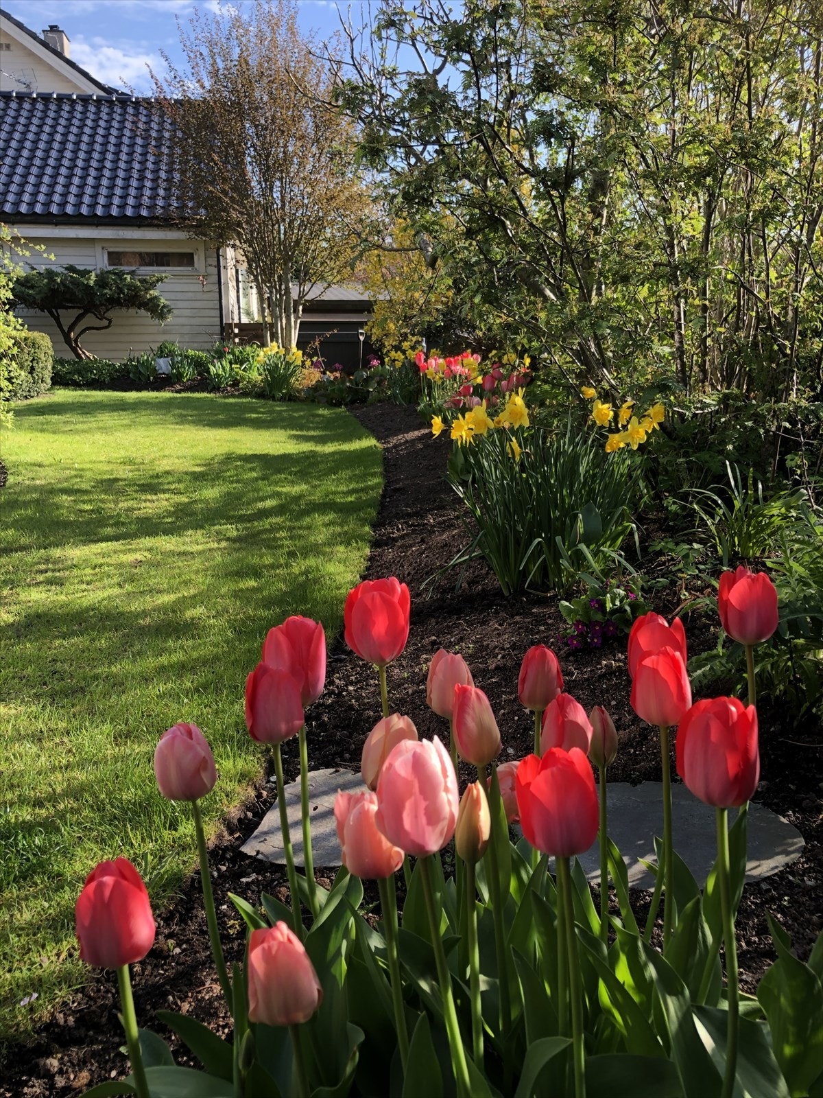 Vår i hagen Galleribilde