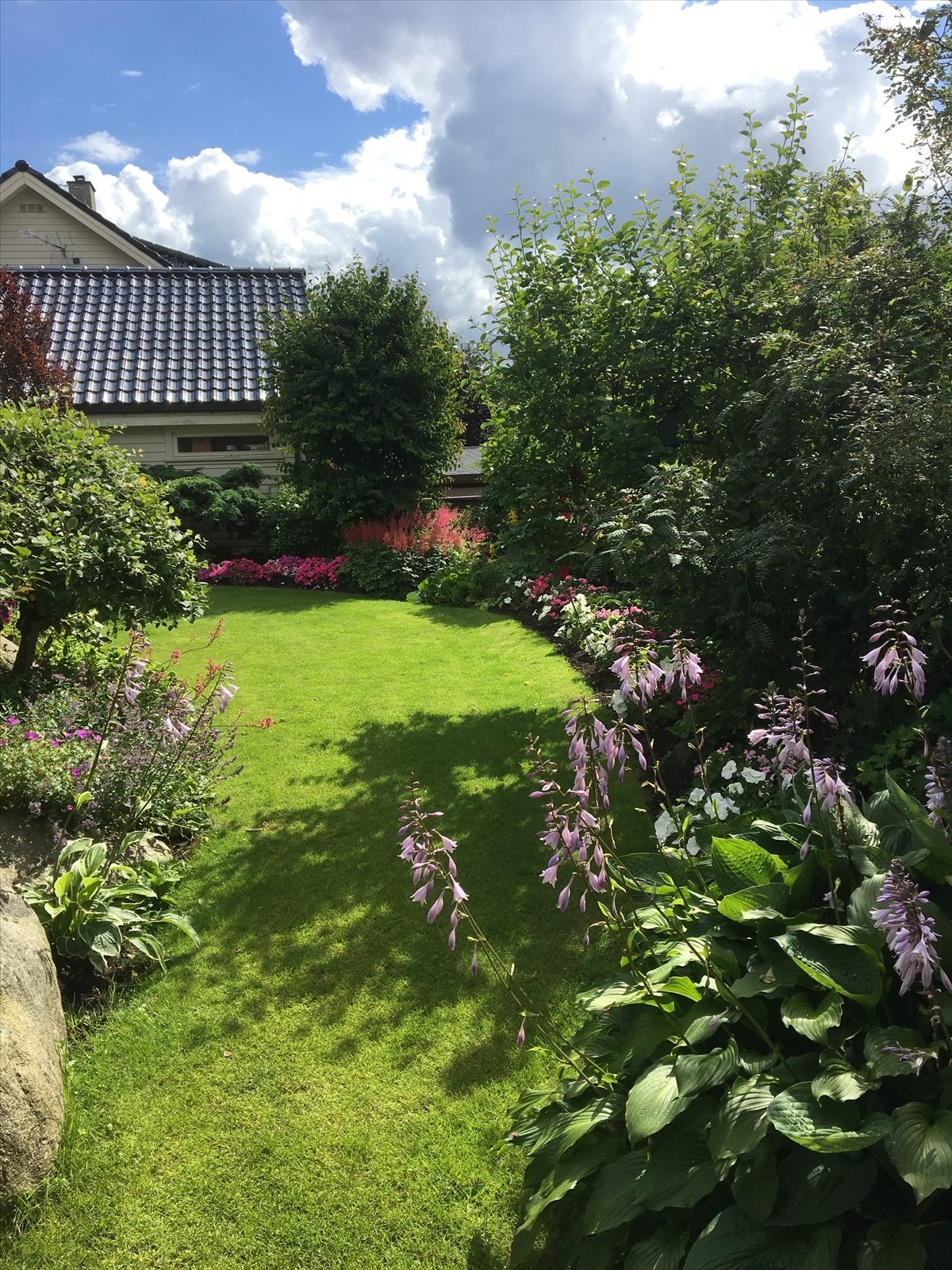 Sommerfoto fra hage mot vest Galleribilde