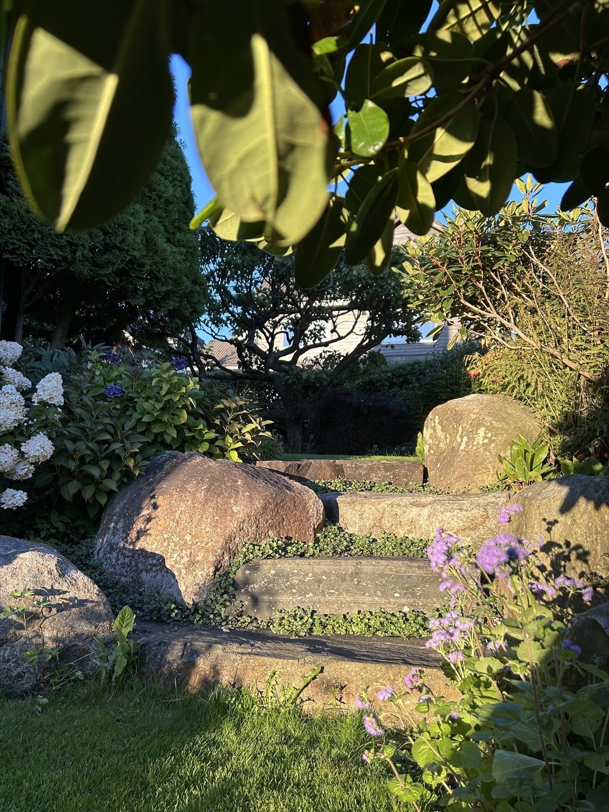 Uteareal Galleribilde