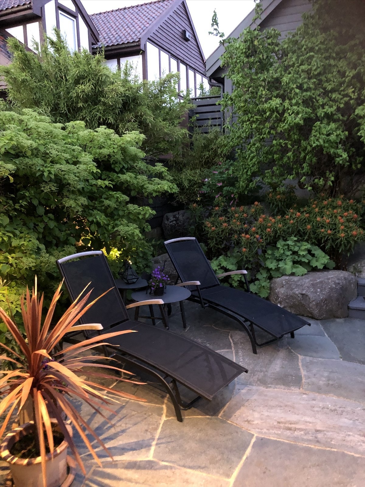 Sommerfoto fra skiferplatting Galleribilde