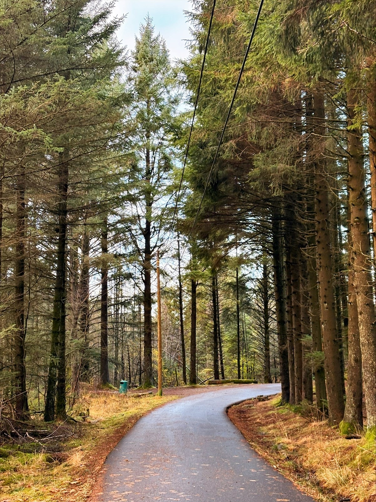 Umiddelbar nærhet til flotte turområder. Fotograf: Selger Galleribilde