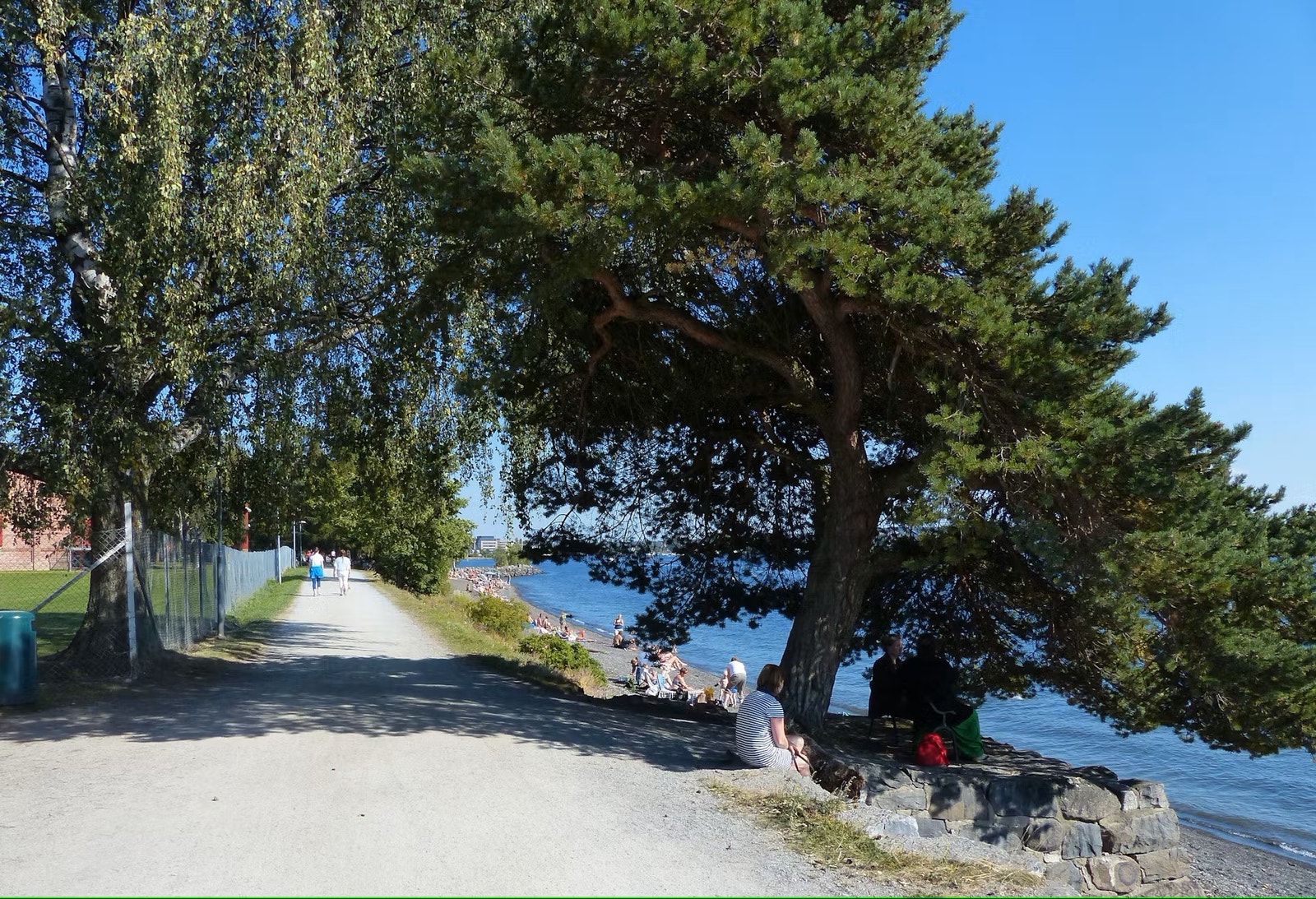 Kort veg til Hamar og Mjøsa Galleribilde