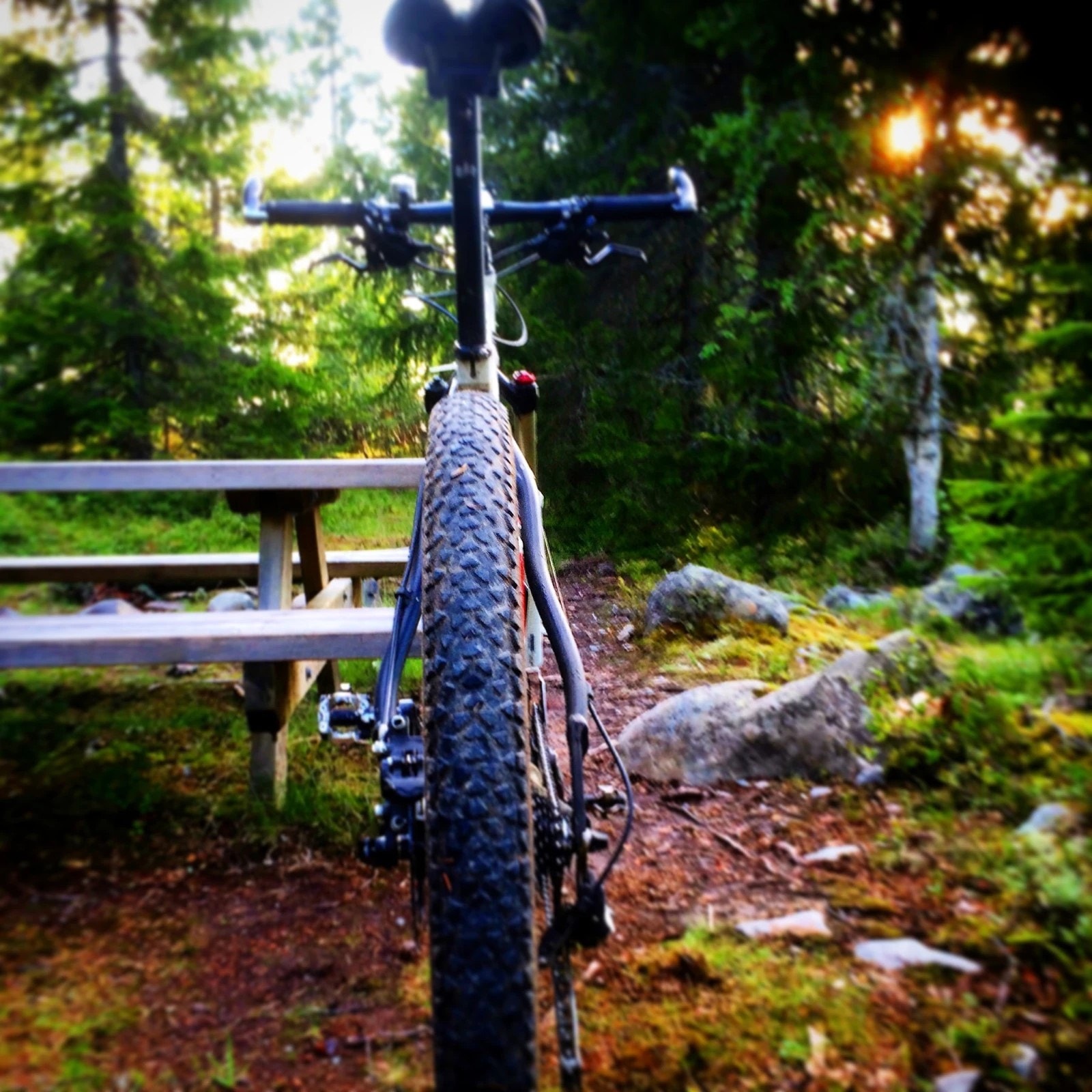 Fine sykkel muligheter på fjellveger og stier Galleribilde