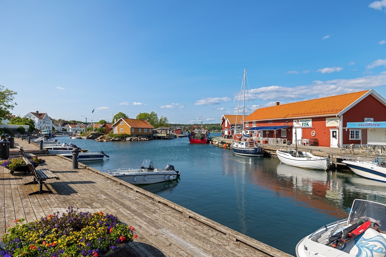 Her får du sommerfølsen som få andre steder kan gi Galleribilde