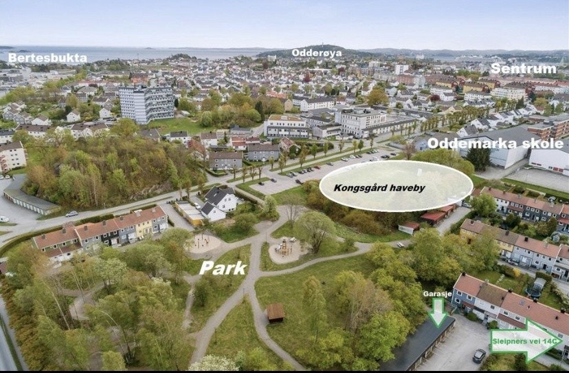 Området Galleribilde