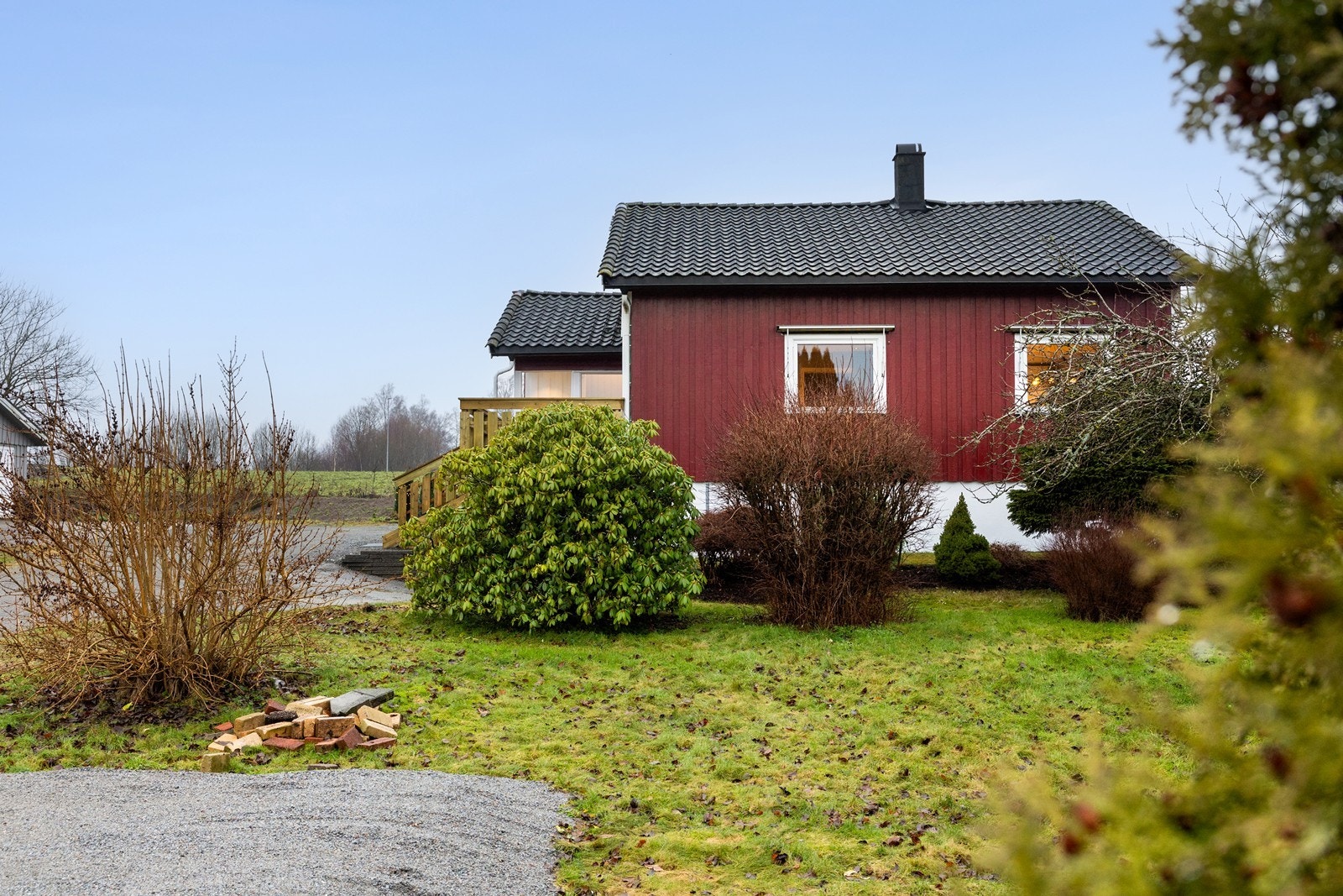 Pen opparbeidet hage med plen og prydbusker Galleribilde