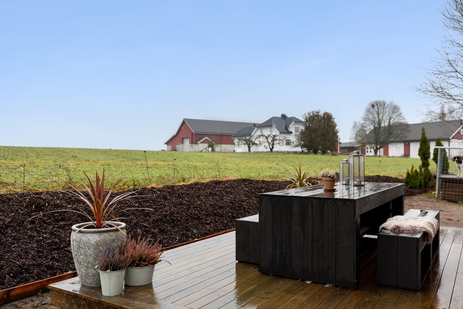 Landlige omgivelser med utsikt utover jordet - Platting ny i 2024 Galleribilde