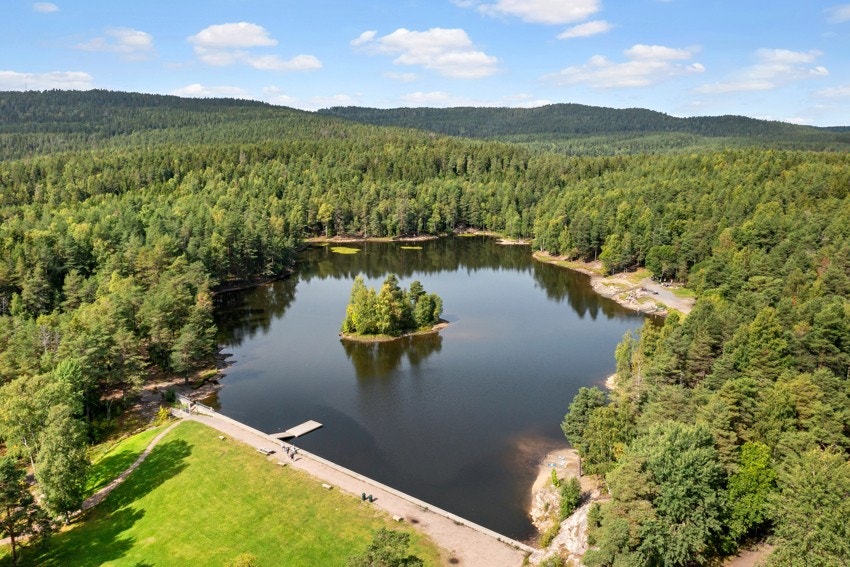 Idylliske vesletjern. Galleribilde