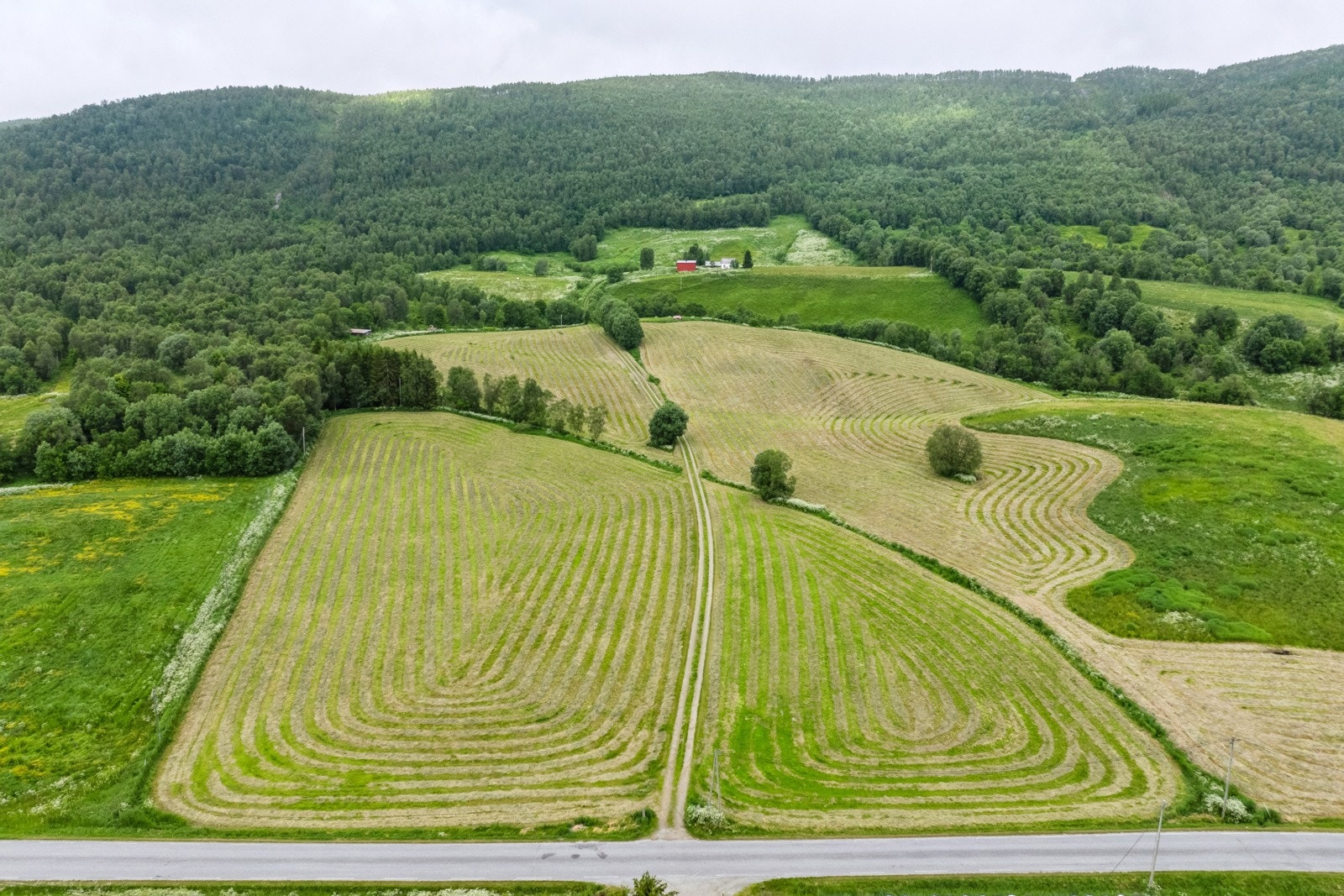 Område Galleribilde