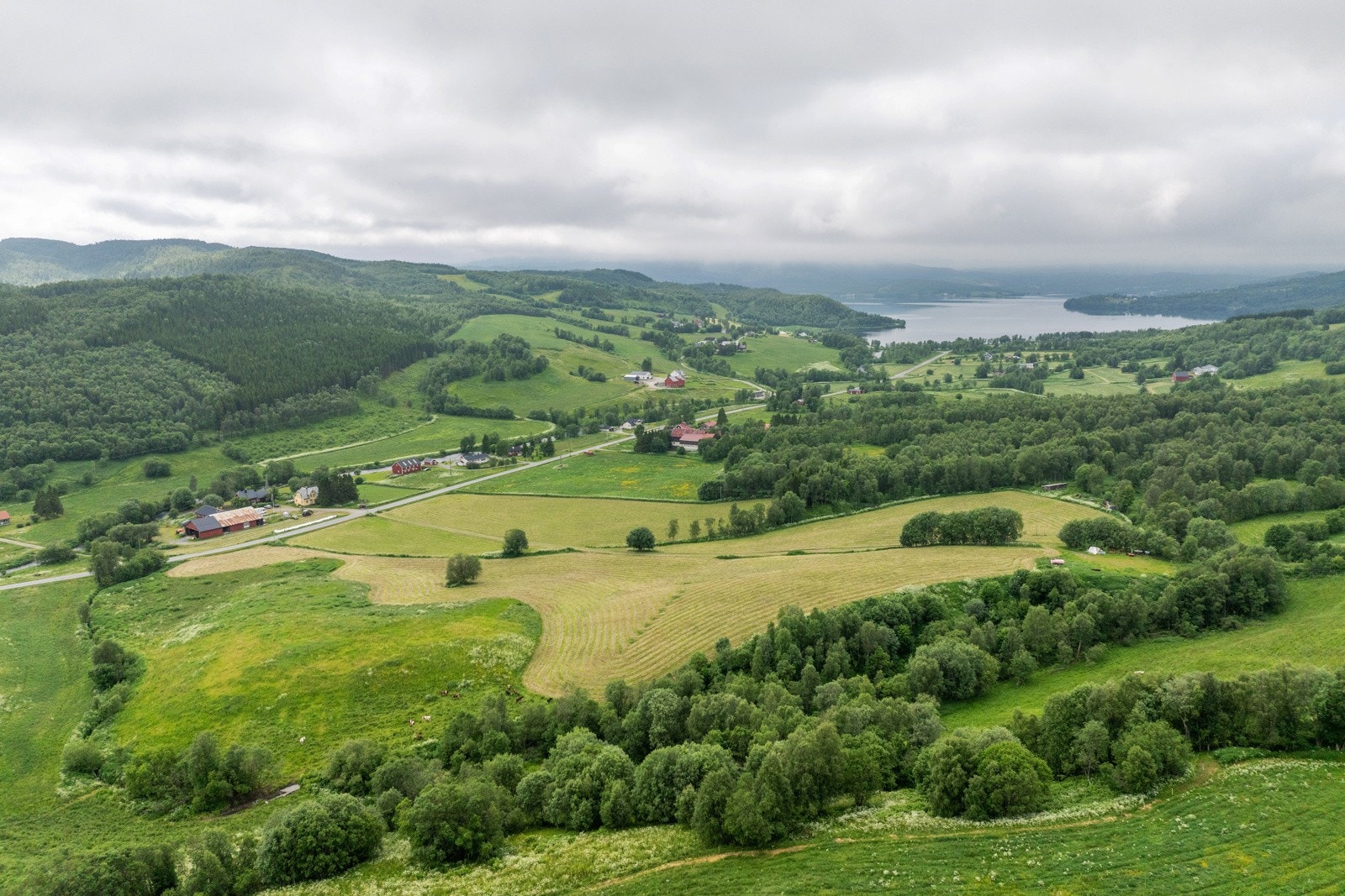 Område Galleribilde