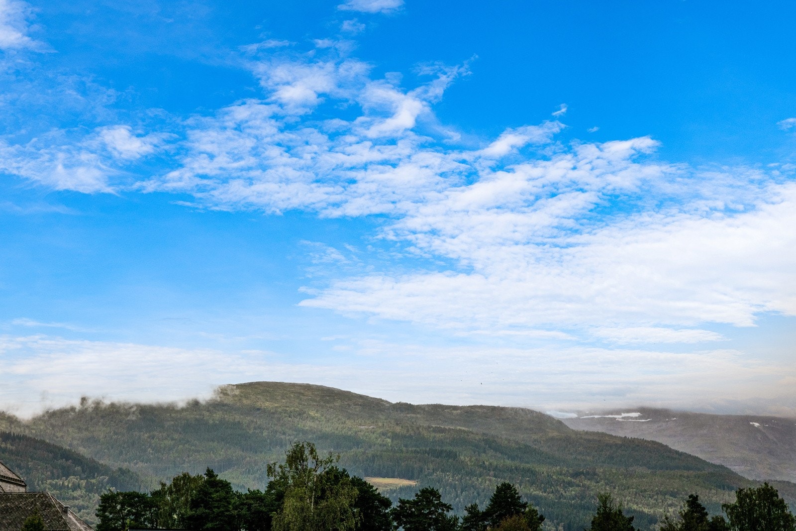 Utsikt! Galleribilde
