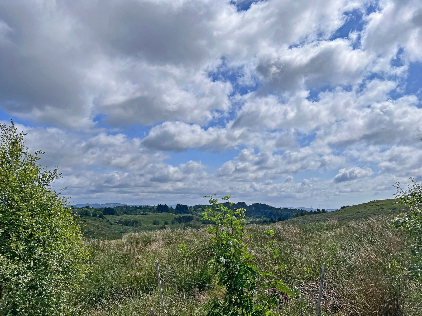 Du kan gå rett ut i turområdet på Vassbrekke Galleribilde