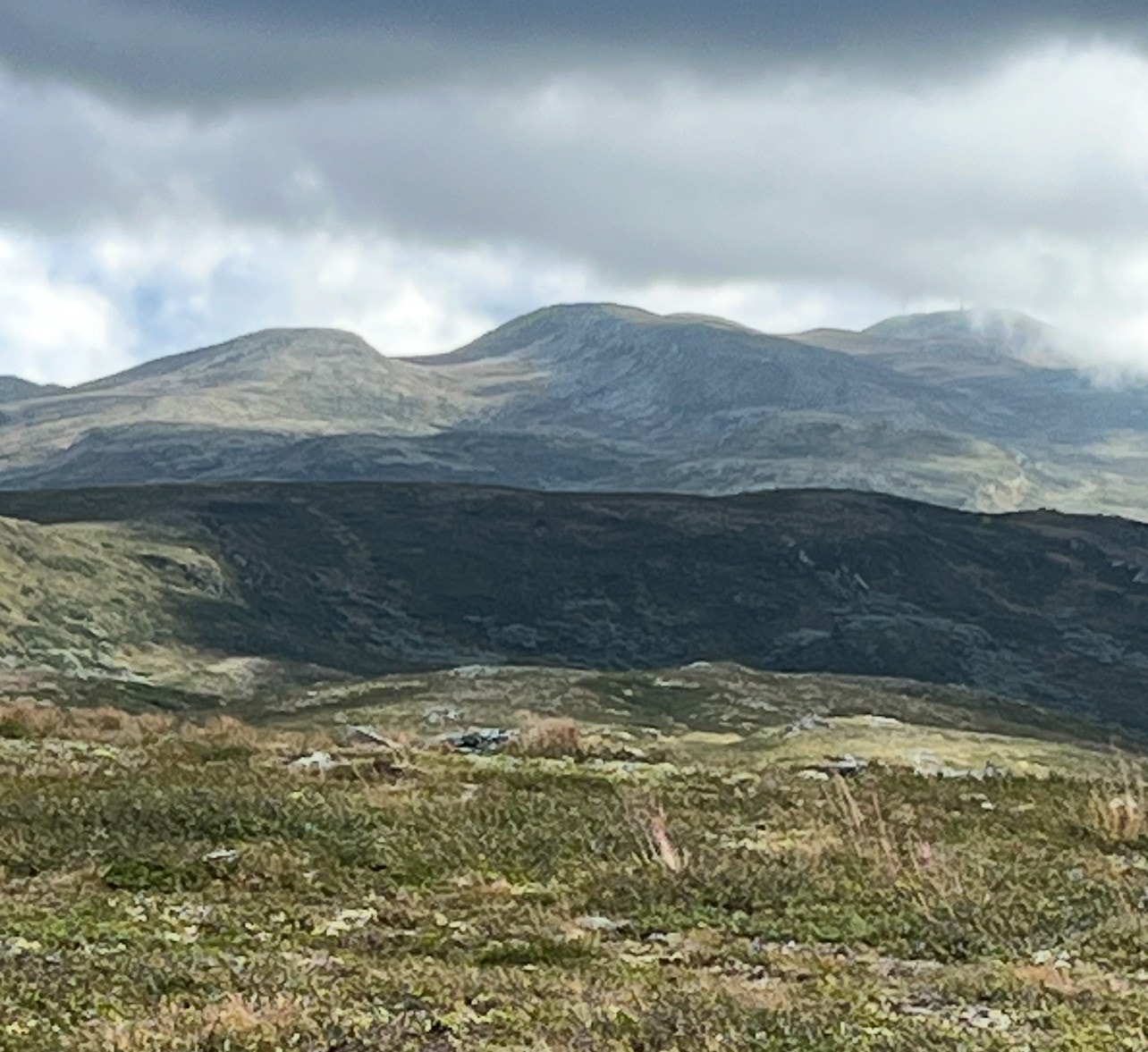Om sommeren finnes det gode og varierte turmuligheter i gangavstand fra hytta, og på turen kan en gjerne plukke litt bær, kanskje også multer til juledesserten (Selgers egne bilder). Galleribilde