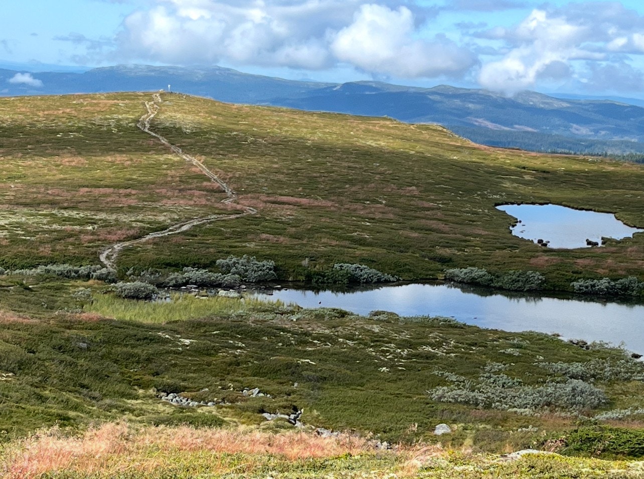 Det er flere små fjellvann i området hvor en kan prøve fiskelykken eller ta seg et bad på varme sommerdager, og om en er interessert i jakt er det er mulighet for småviltjakt på både rype og skogsfugl (Selgers egne bilder). Galleribilde