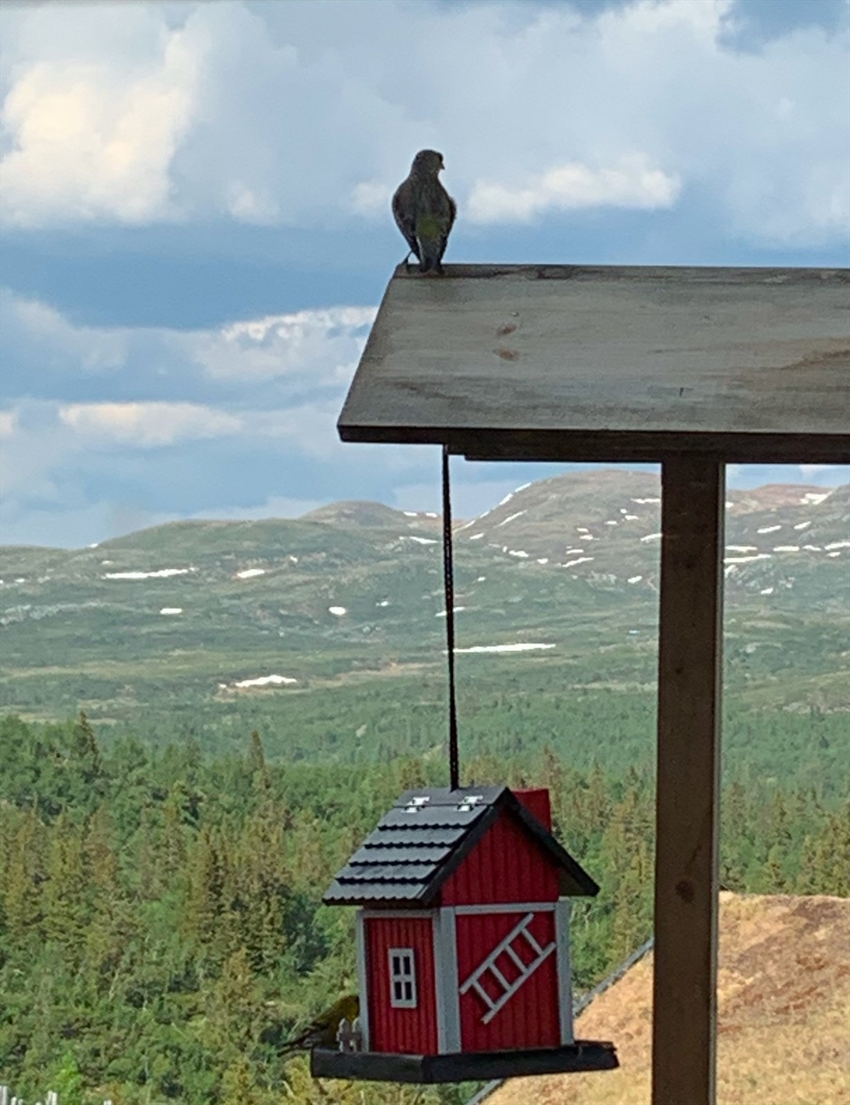 (Selgers egne bilder) Galleribilde