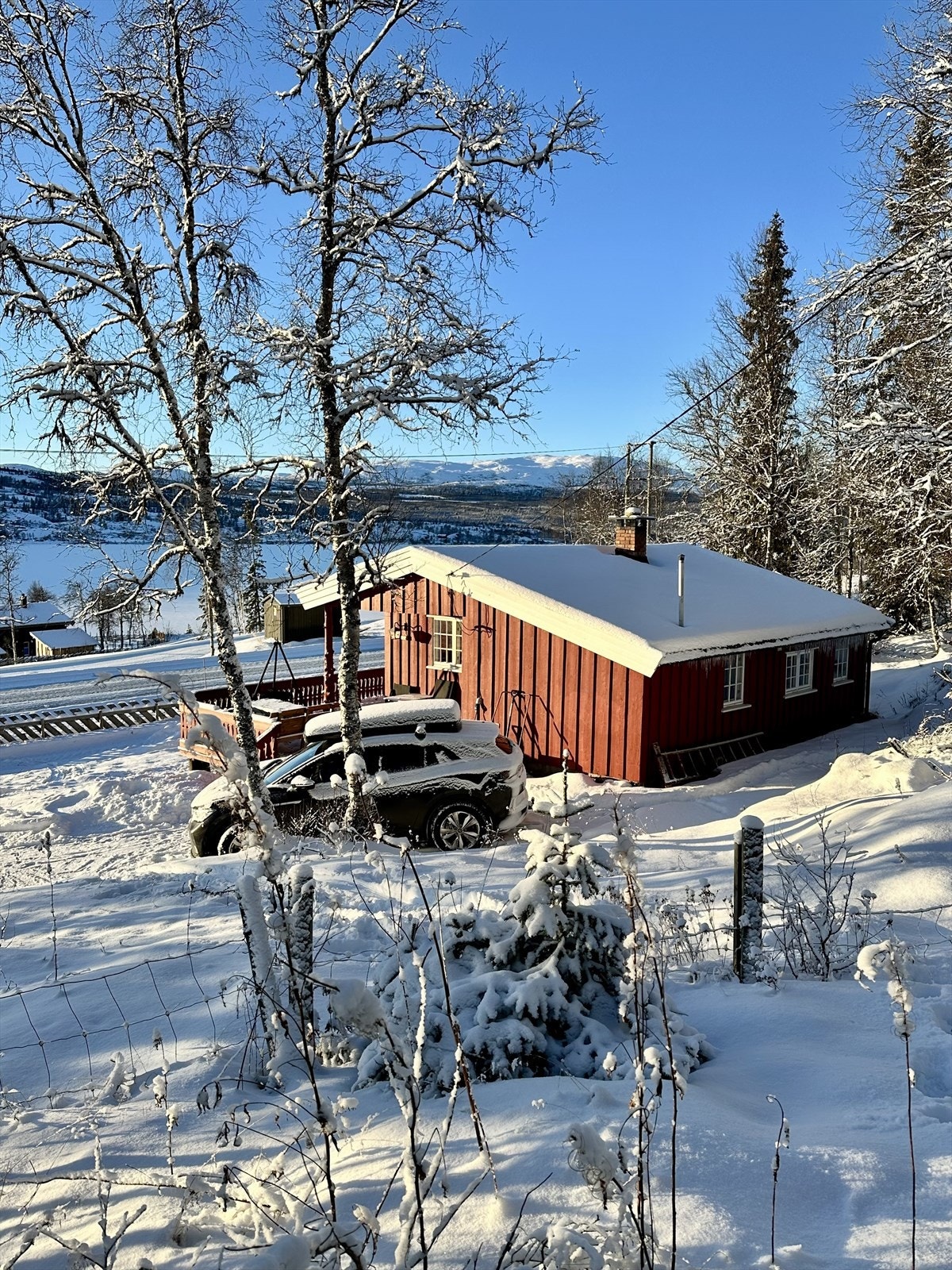 Selgers eget foto Galleribilde