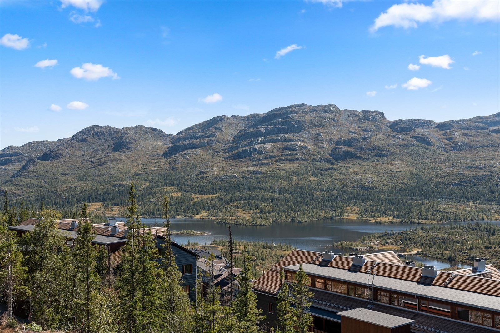 Krossobanen og Solstien er også populære utflukter, som tar deg opp på Hardangervidda Galleribilde