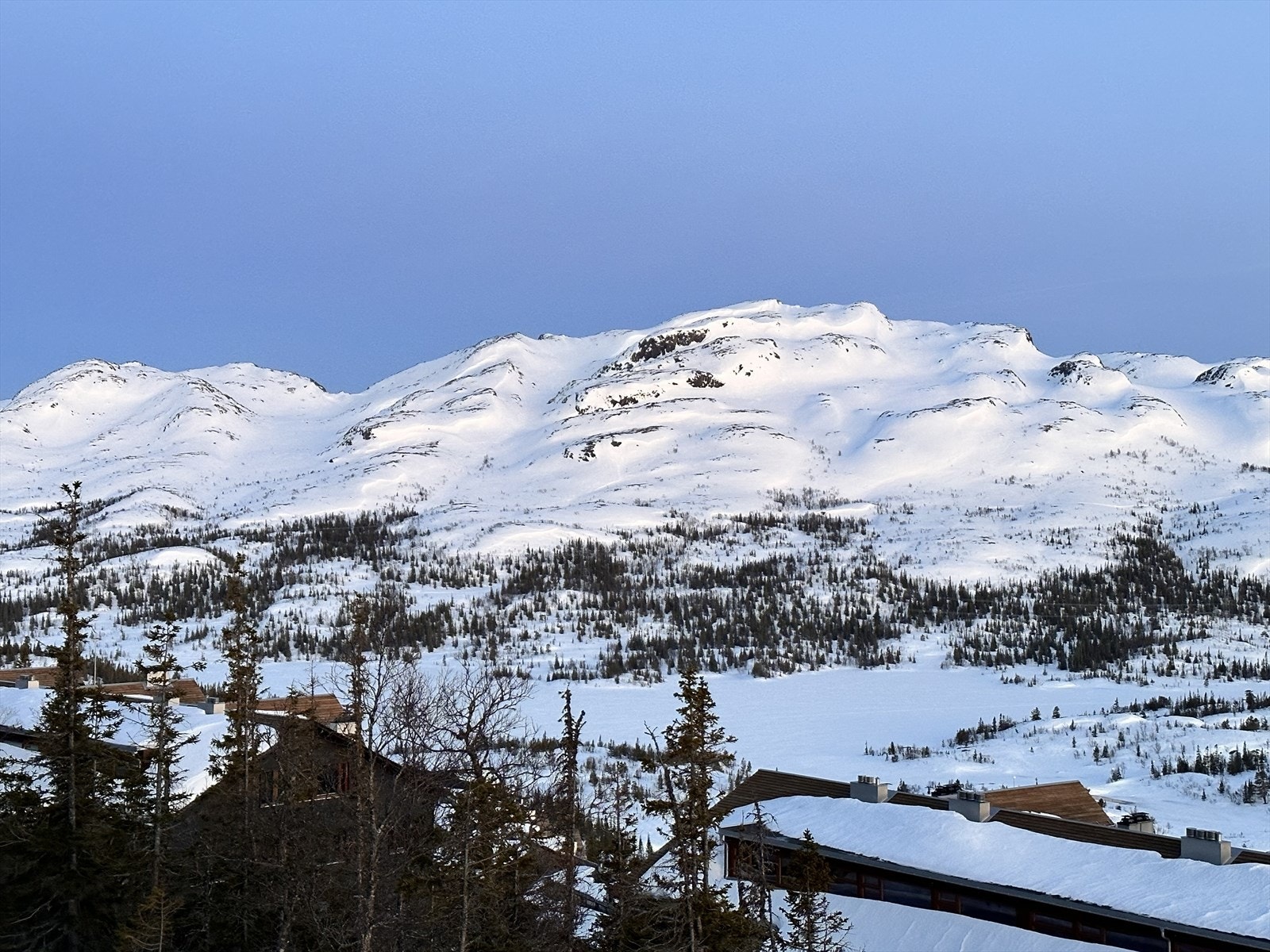 Selgers private bilde Galleribilde