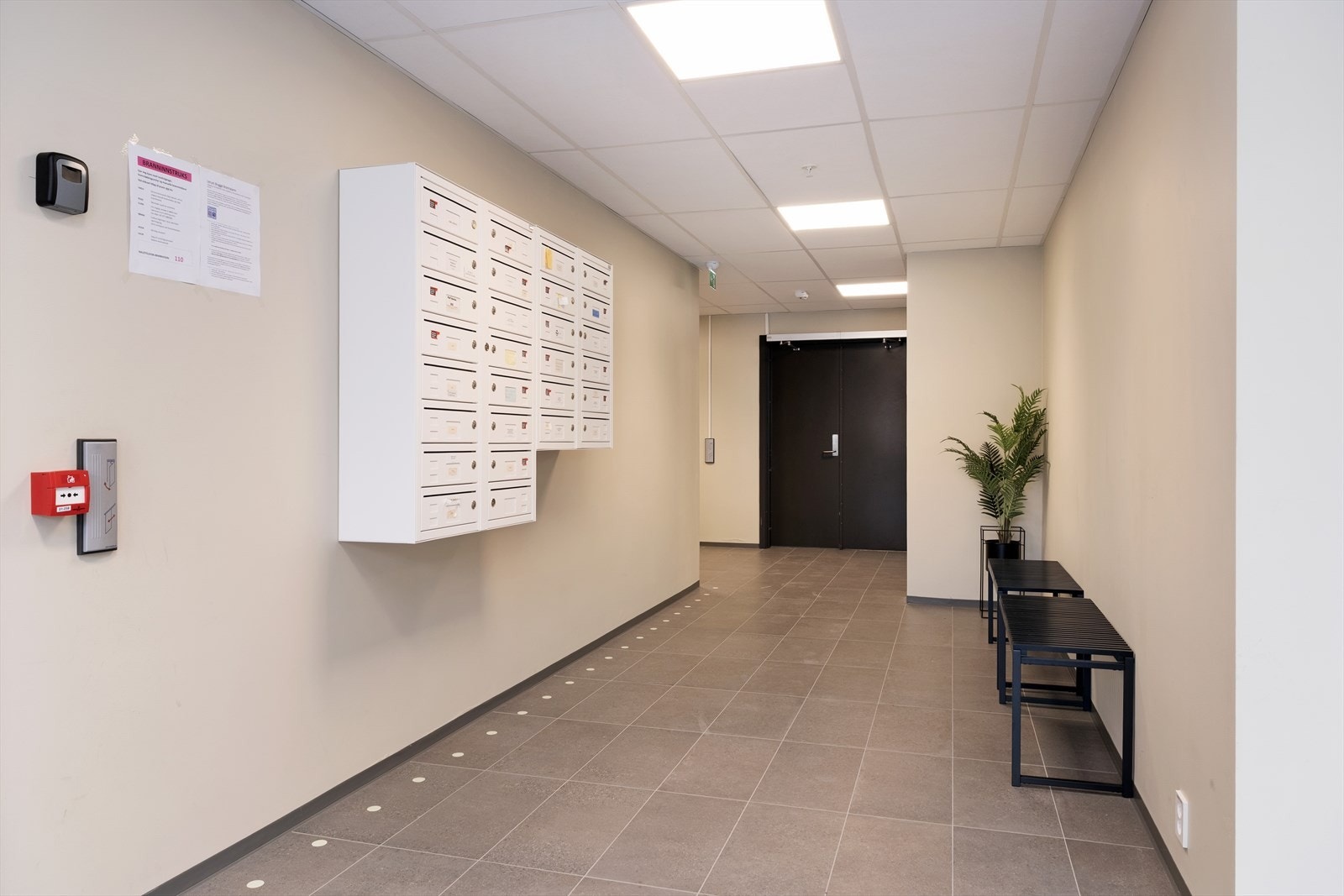 Tilkomst til leilegheita via trapp eller heis. Galleribilde