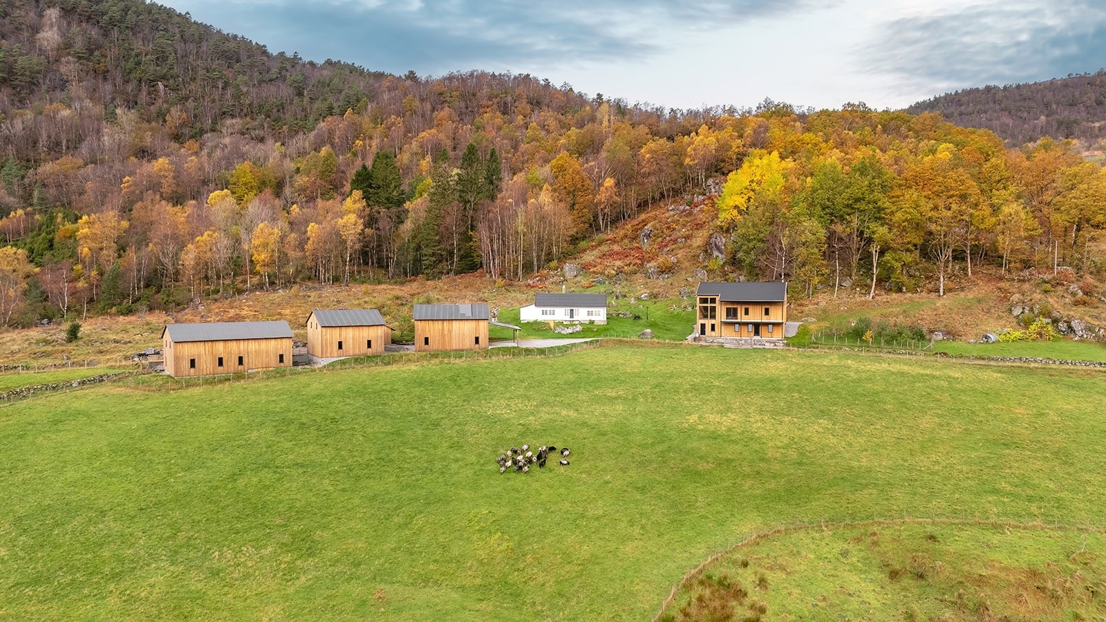 Jordet har fine beiteforhold og er ideelt for drift med villsau eller andre beitedyr. Galleribilde