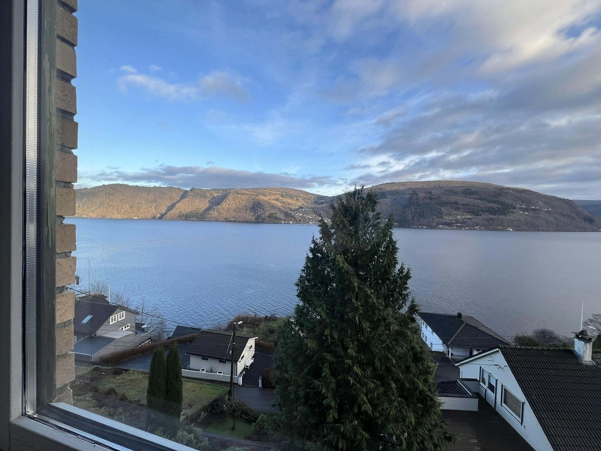 Utsikt fra stuen Galleribilde