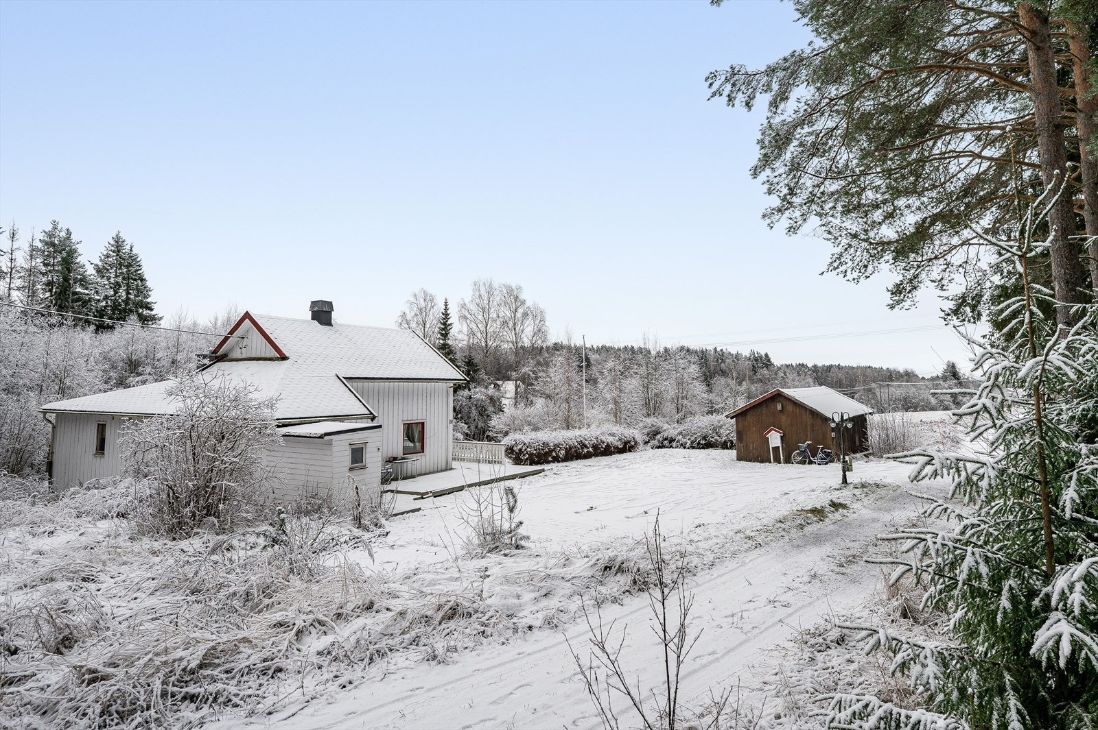 Her har du skogen som nærmeste nabo. Galleribilde