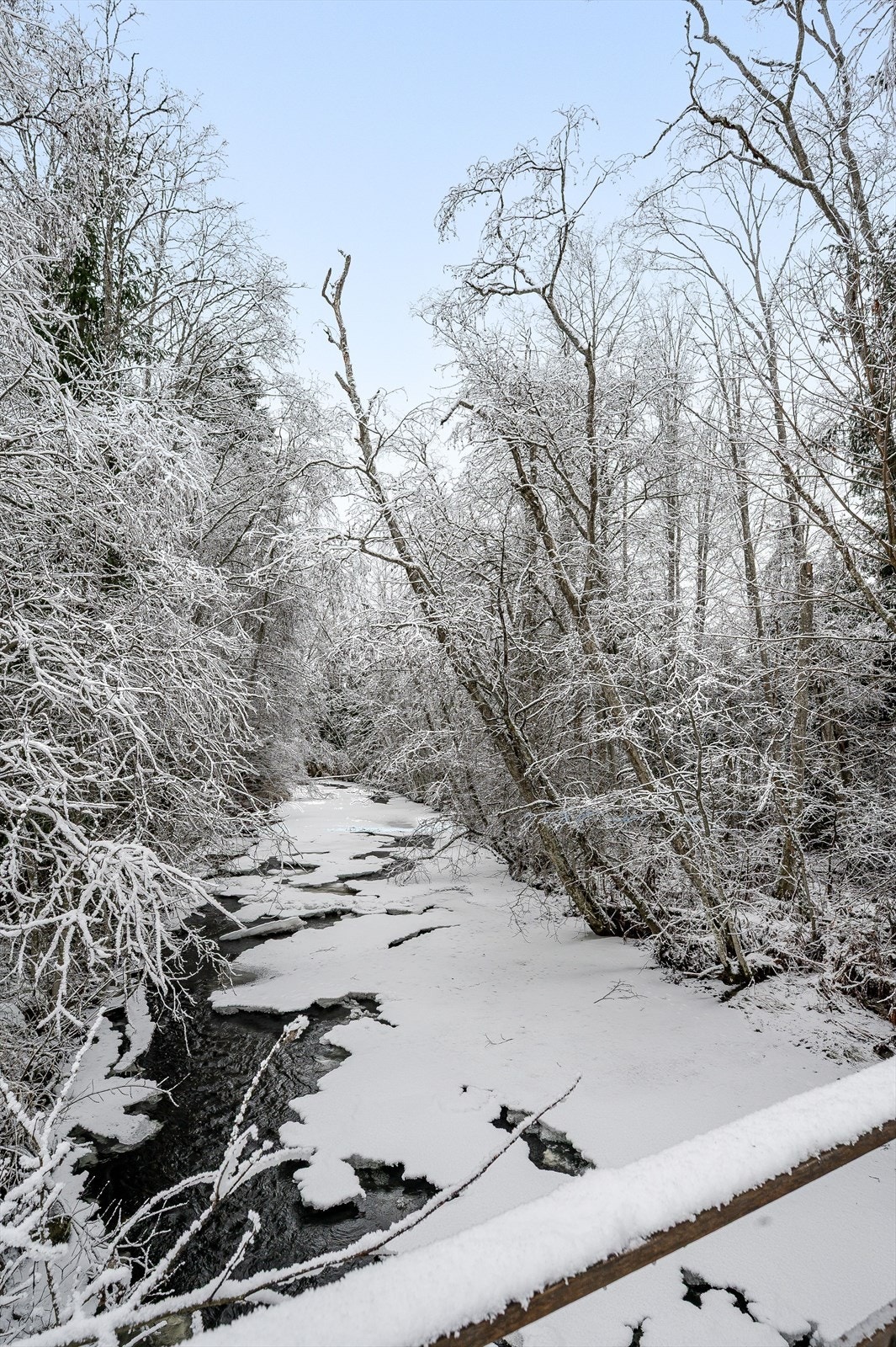 Idylliske omgivelser. Galleribilde
