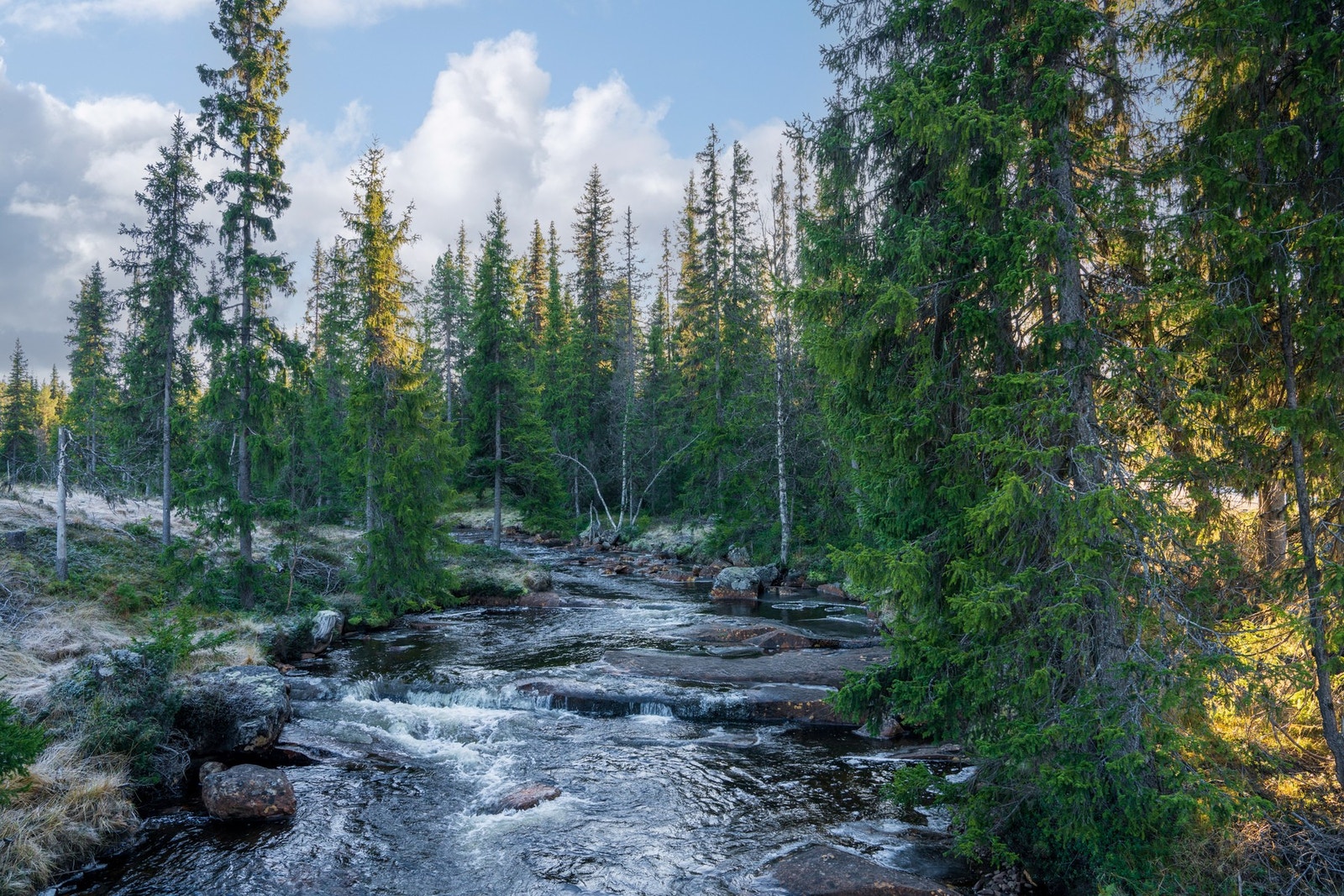 Ved bommen opp til hytta kjører du over idylliske Sevreåne. Galleribilde