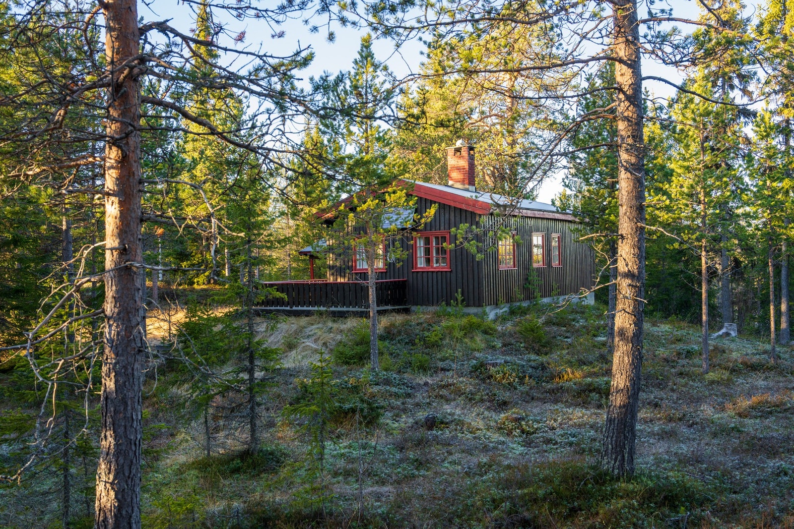 Hytta ligger skjermet på en liten kolle midt i vakker natur. Galleribilde