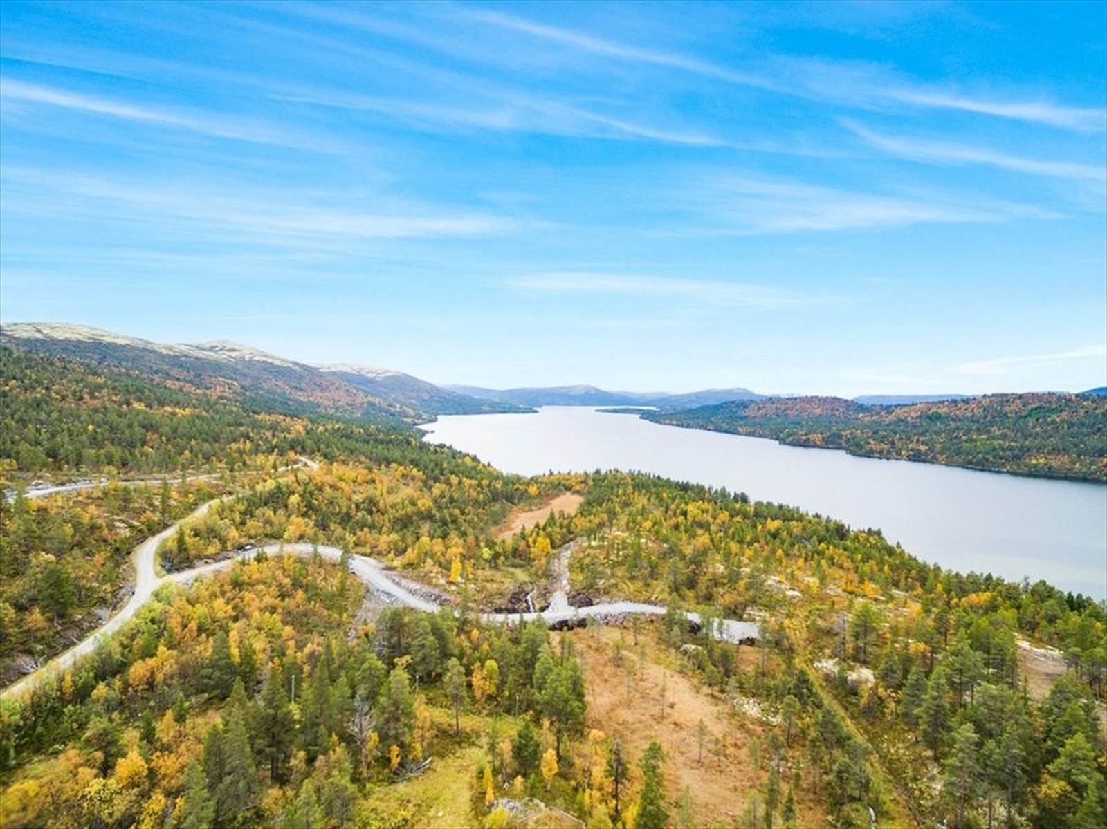 Sommerbilde.jpg Galleribilde