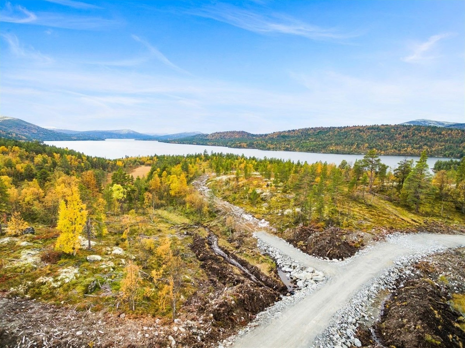 Sommerbilde........jpg Galleribilde